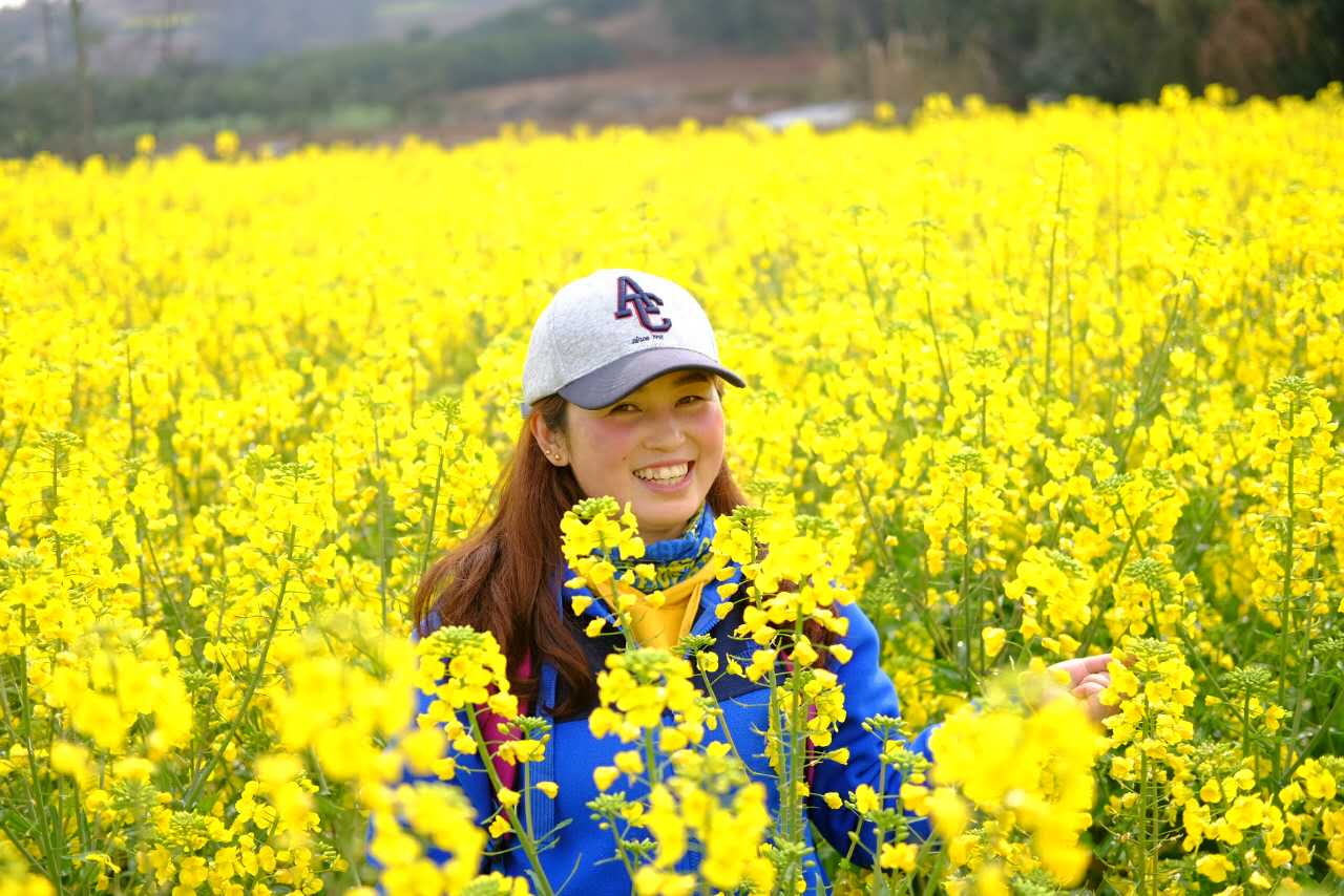 初春油菜花金堂三溪油菜花开走进春天的原野里