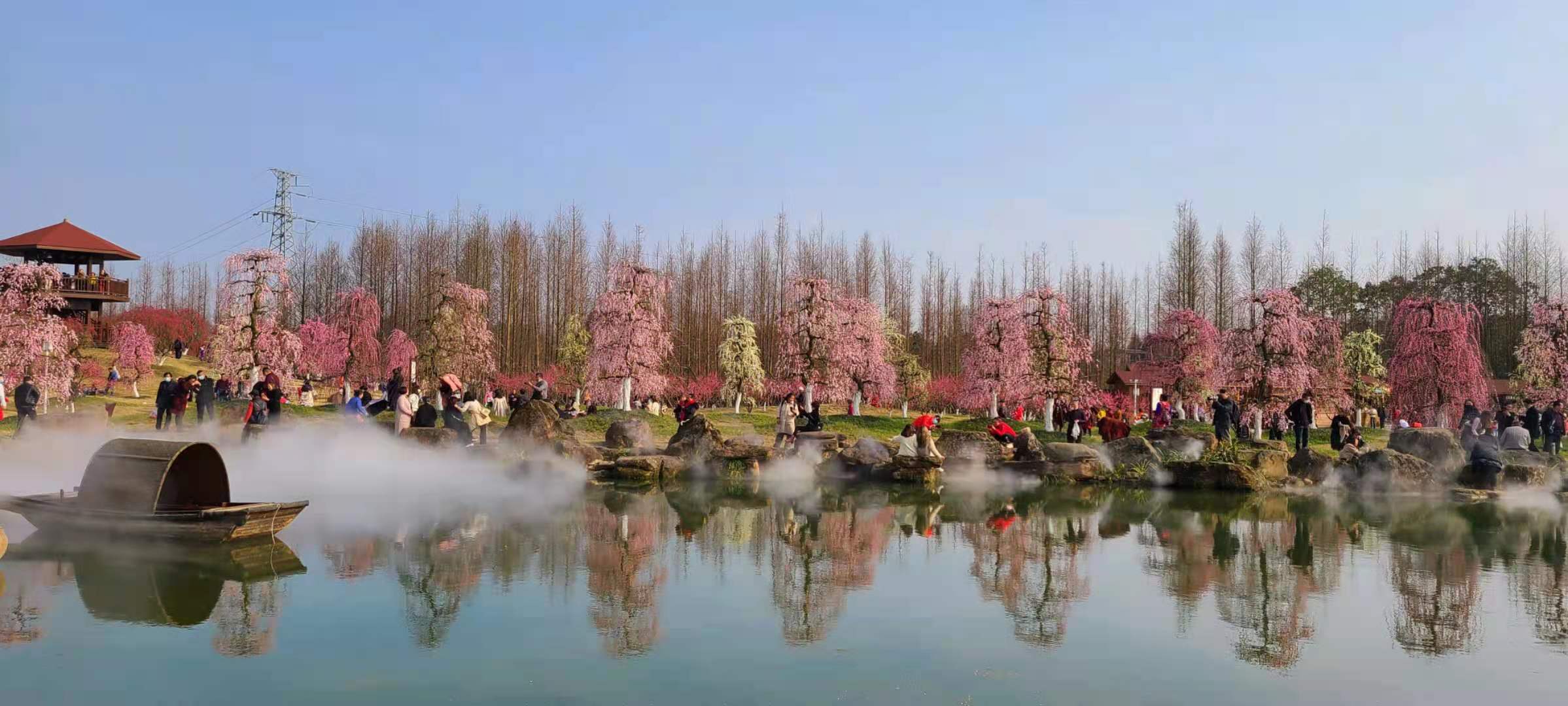 【问花村】梅花垂枝,海棠掠影,问花村花期如约而至!