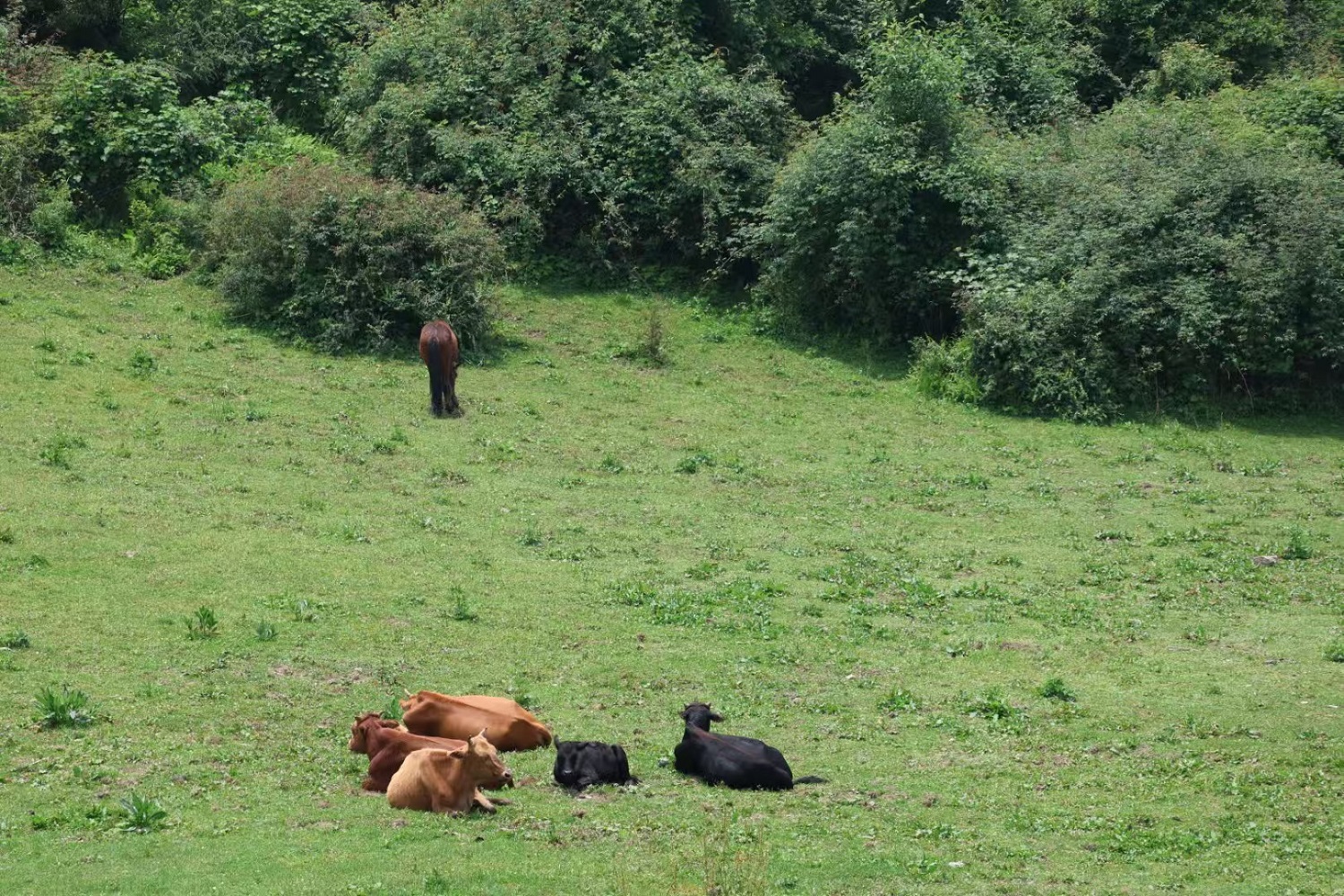 1744613174791084.jpg e3b7f7c72b4df97bd03e773aea8fd5b.jpg