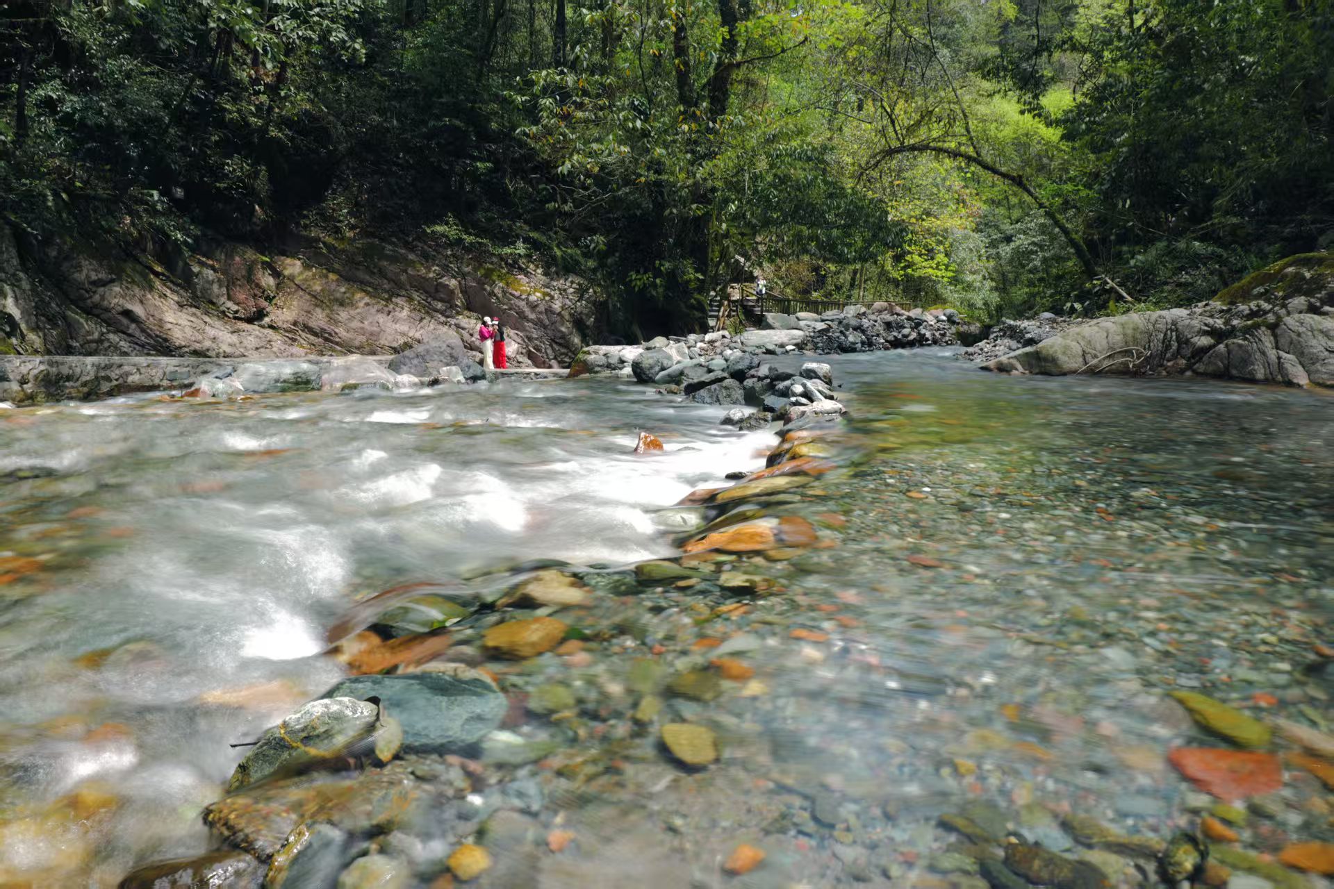 1745915417196086.jpg 1744872639573484.jpg