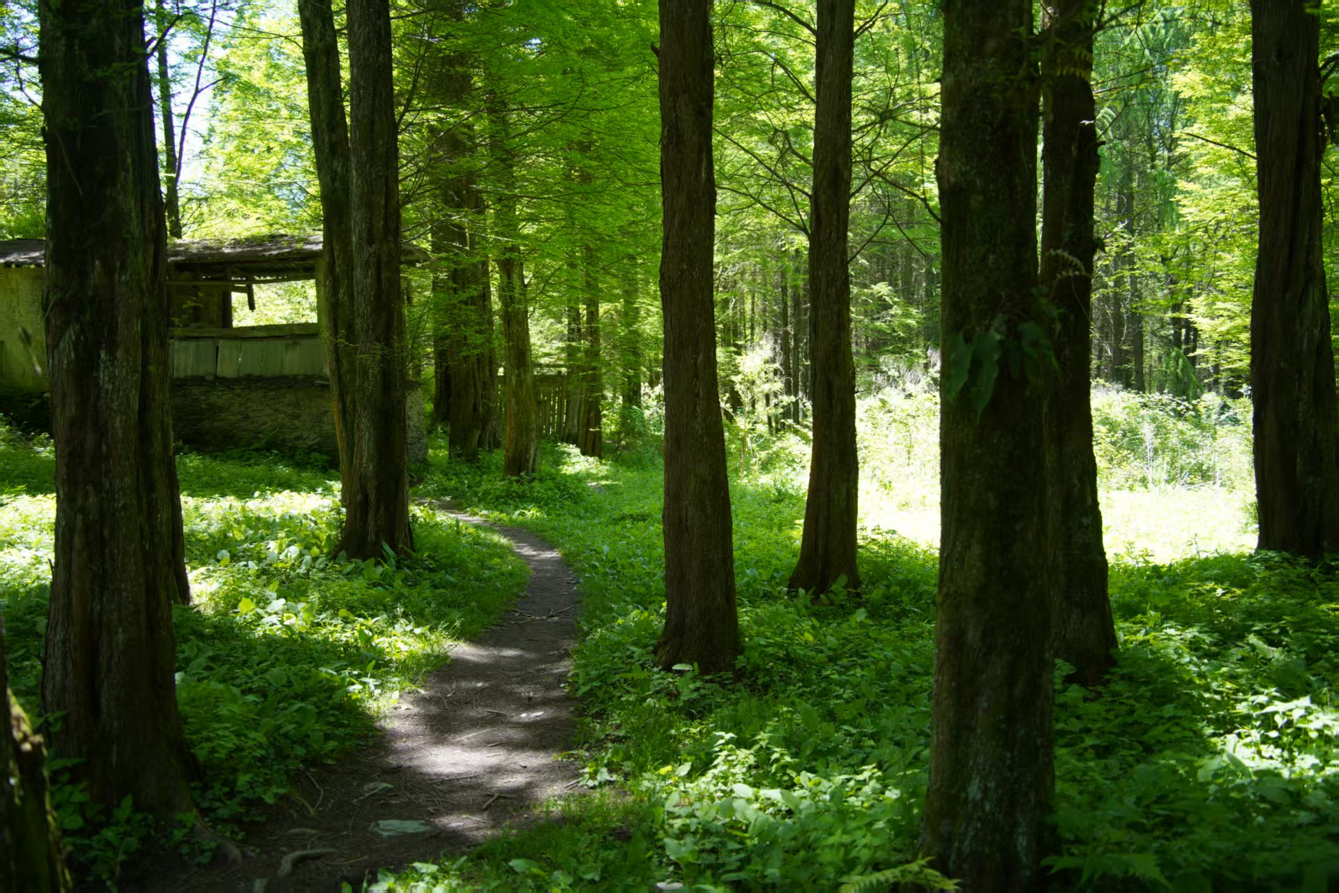 1747101024583443.jpg d61dba6fd1eb8933fef3f6aa8b5ff2e.jpg