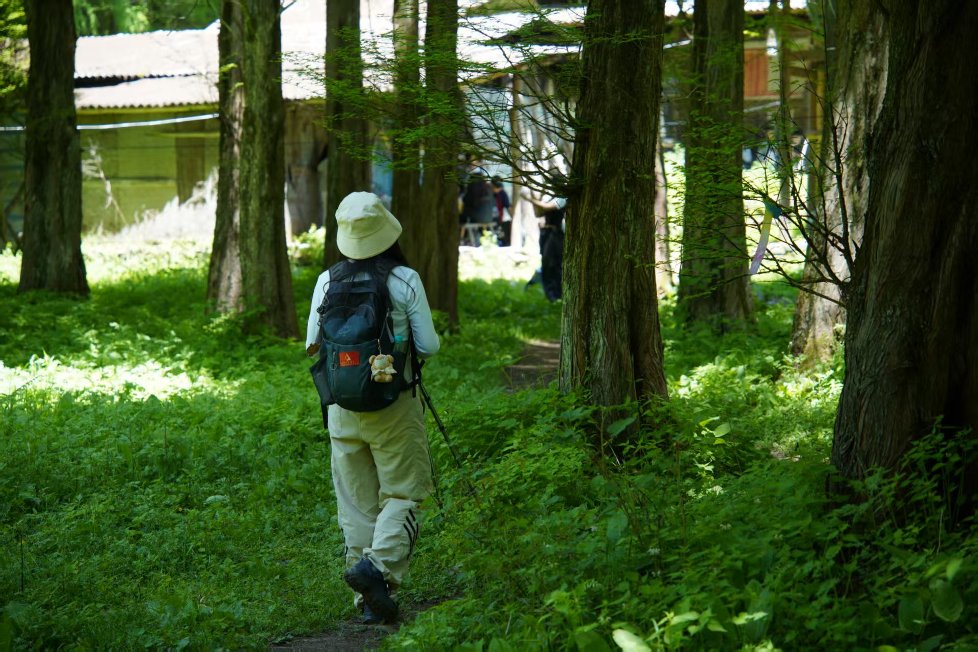 1747101045177252.jpg 6ecb0667c417960f73f64ce60ceb463.jpg