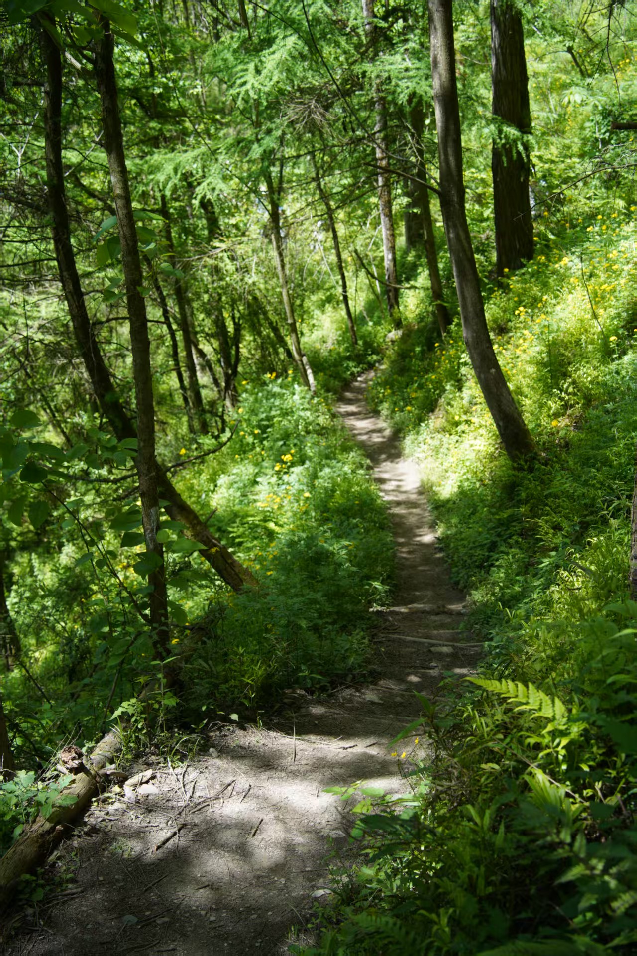 1747101137492260.jpg 204f43bf4ee0f0d40ec168bcd741ba5.jpg