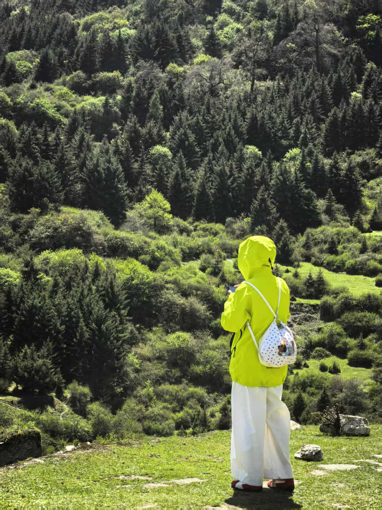 1747101311473366.jpg 80c88b3f47dcf673f34c32599f17abe.jpg