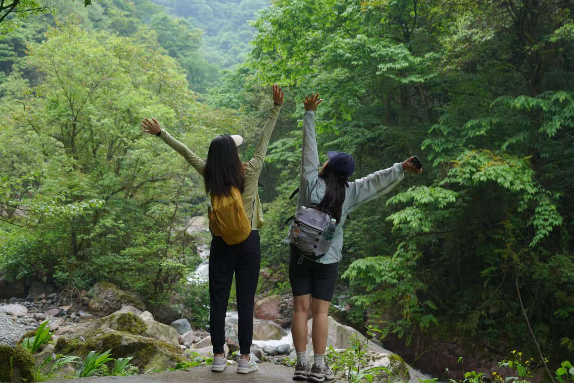 1747272200517627.jpg 7cb62da0634509101de2588696f91a8.jpg