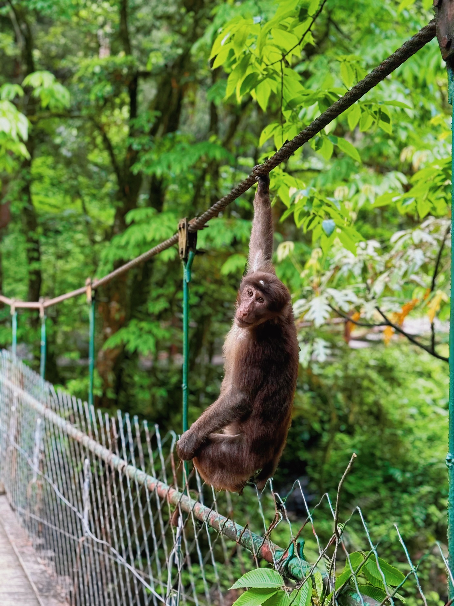 1748075223668343.jpg a3d5664327daa45a085a7edd396be88.jpg