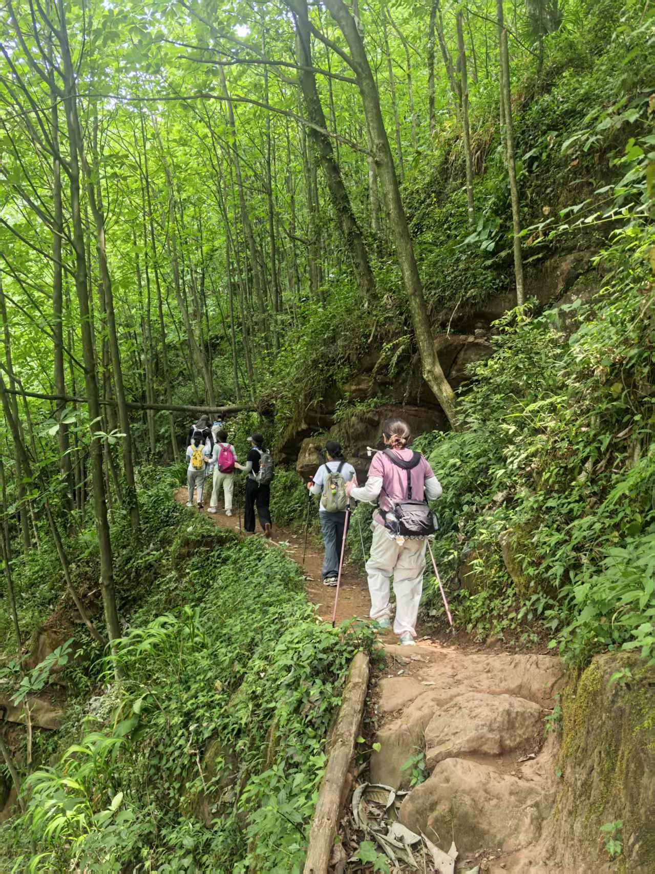 1748249057835893.jpg bec67a1f3f32ebd4bb69c555cc0deeb.jpg