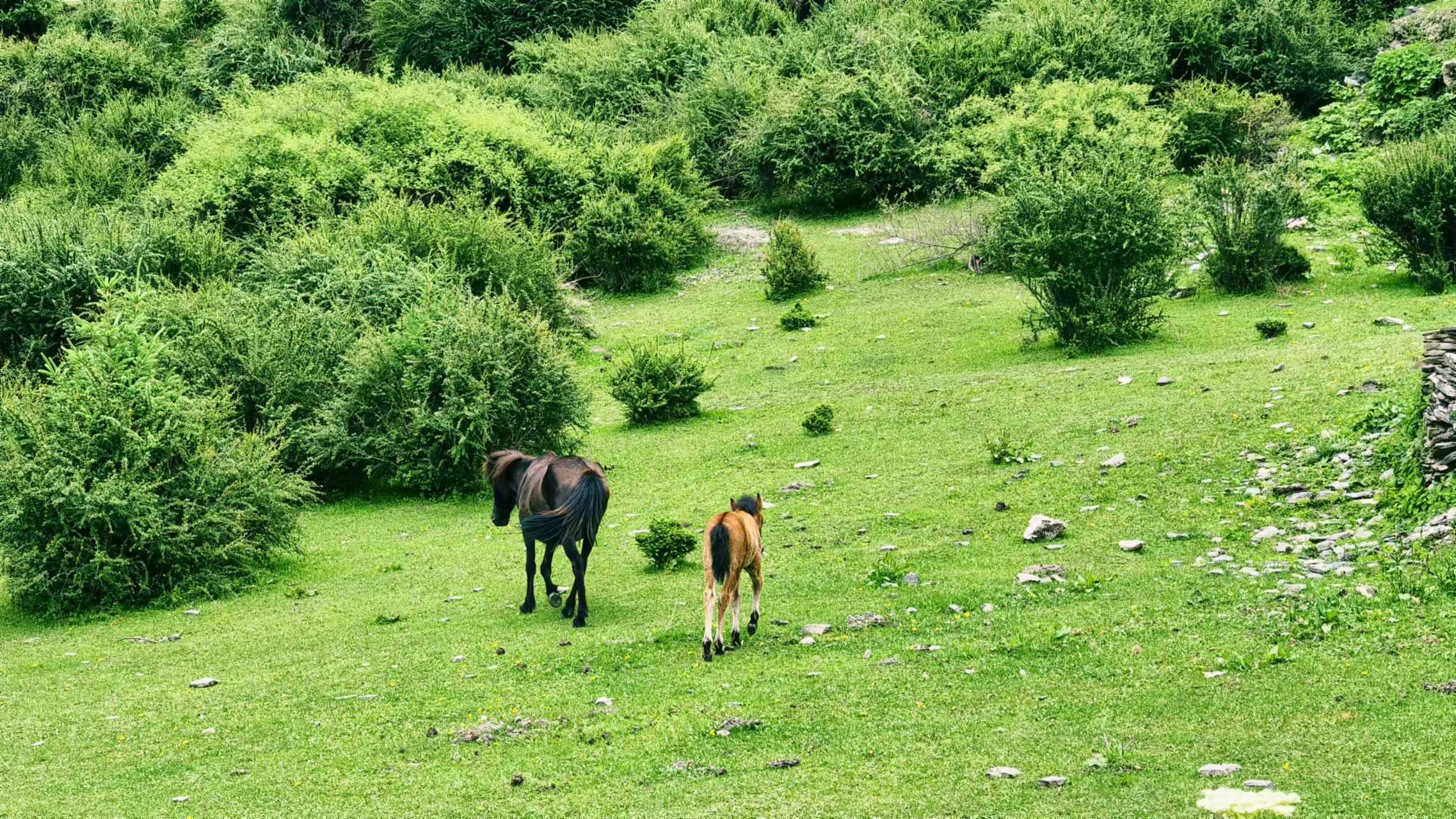 1750039446315387.jpg 微信图片_20250616095028.jpg