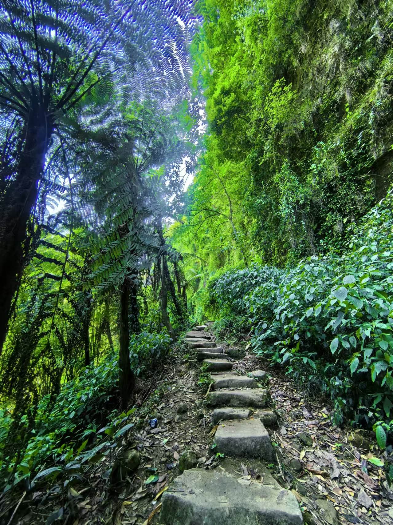 1750039759328470.jpg 微信图片_20250616095052.jpg