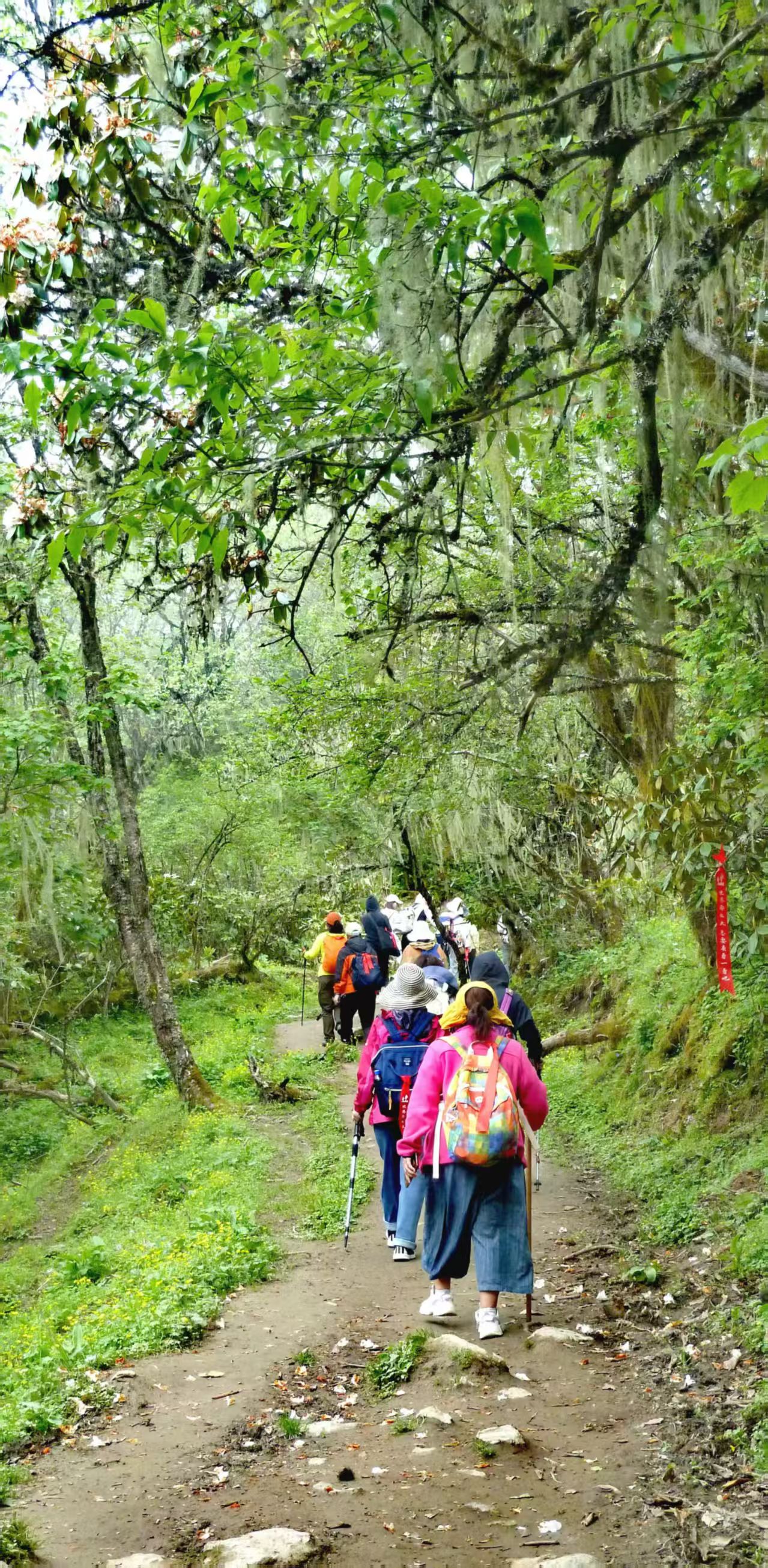 1750297077299034.jpg 72ef750750eaf87c0931c24cb84ea8a.jpg