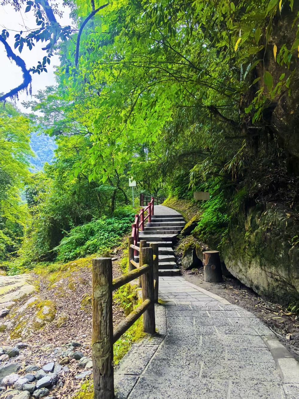 1750297885573983.jpg d4b402b491caafe373cd49b690aefba.jpg