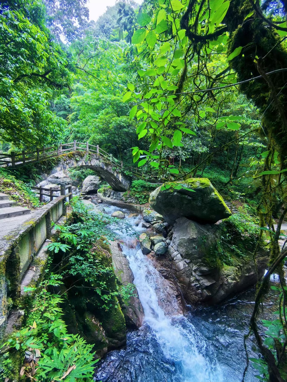 1750297897110504.jpg 5341021761c77893622397212810895.jpg