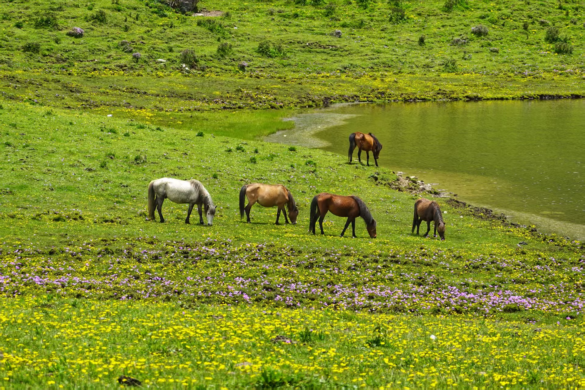 1750646919492701.jpg 26672fbcef73c11e5898f0746fc9756.jpg