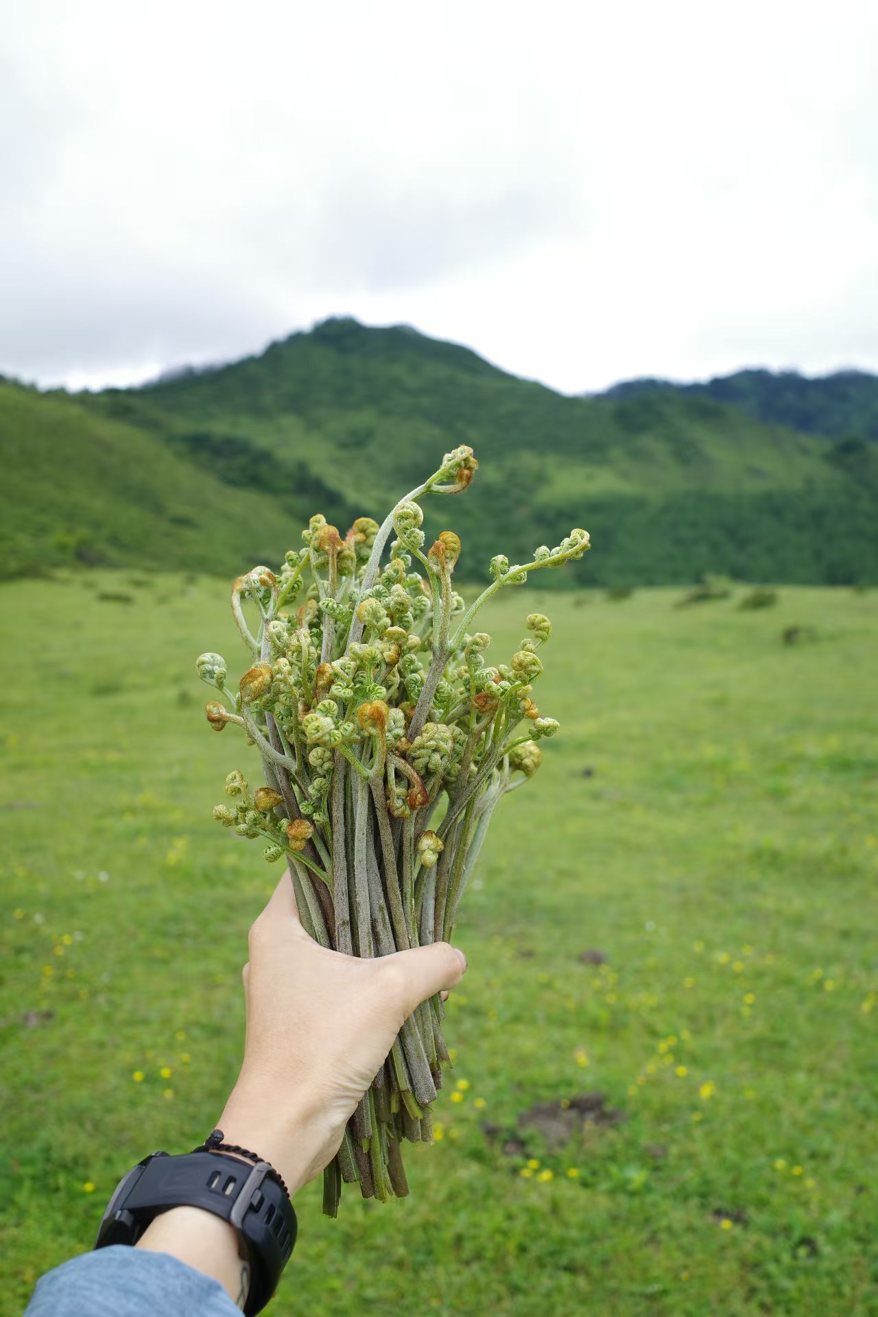 1750841153357593.jpg 0f2d010be996824aeb785fb3c2b7b17.jpg