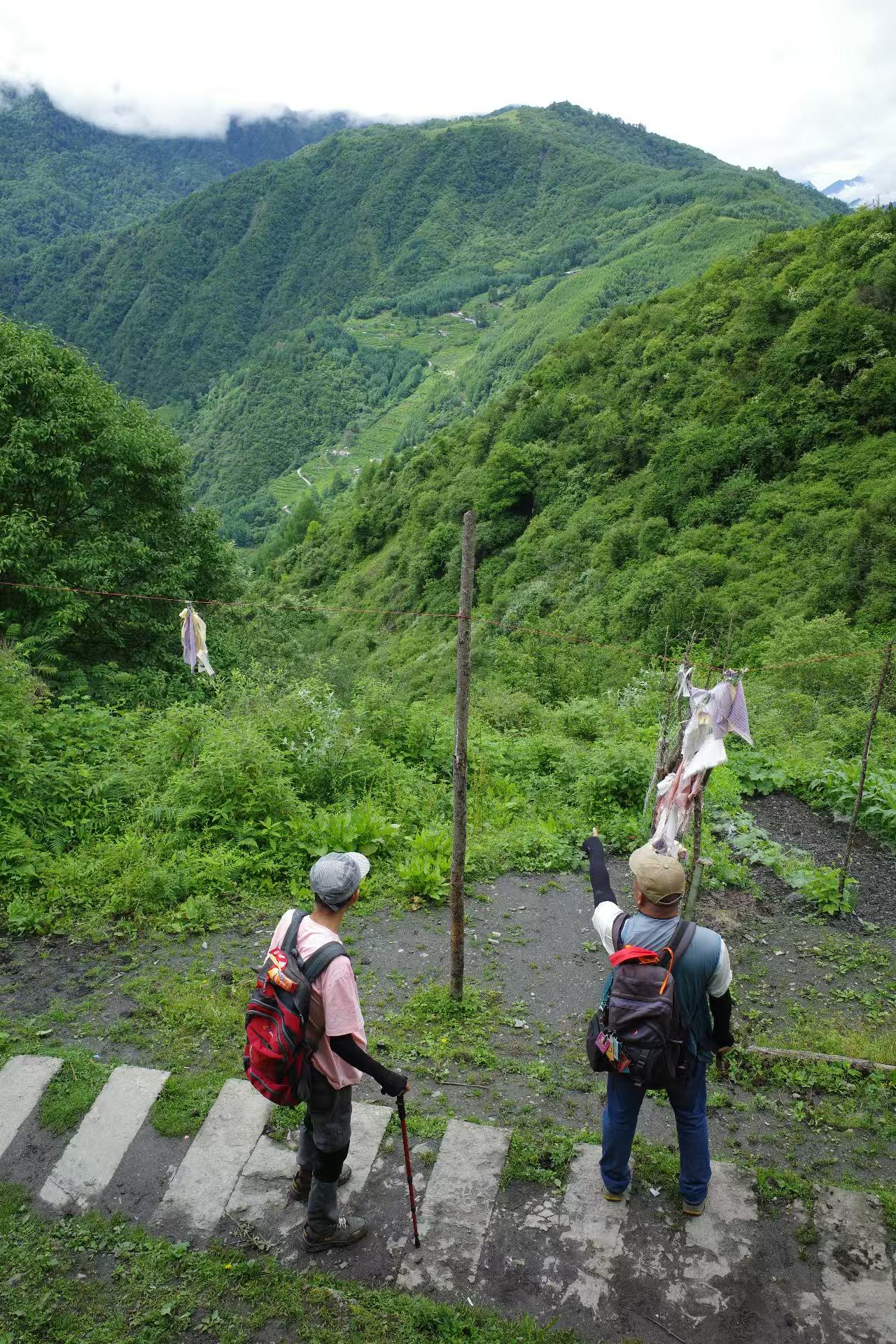 1750841208299897.jpg c1eca15b50016af8674d5323687e79d.jpg