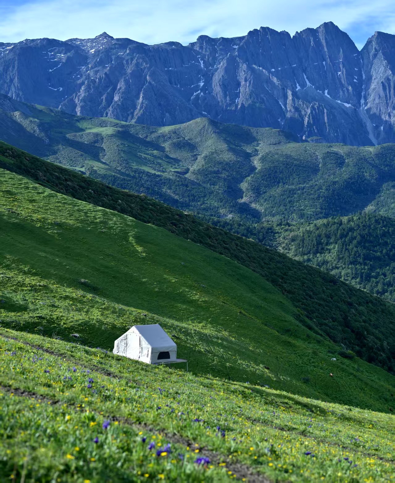 1750922280531104.jpg f2d72b074c621dd9bb744a45e033054.jpg