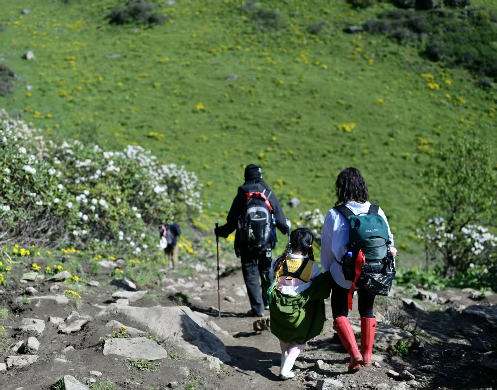 1750922296852840.jpg ab27c3d7291bf3537656e7357cac8b1.jpg