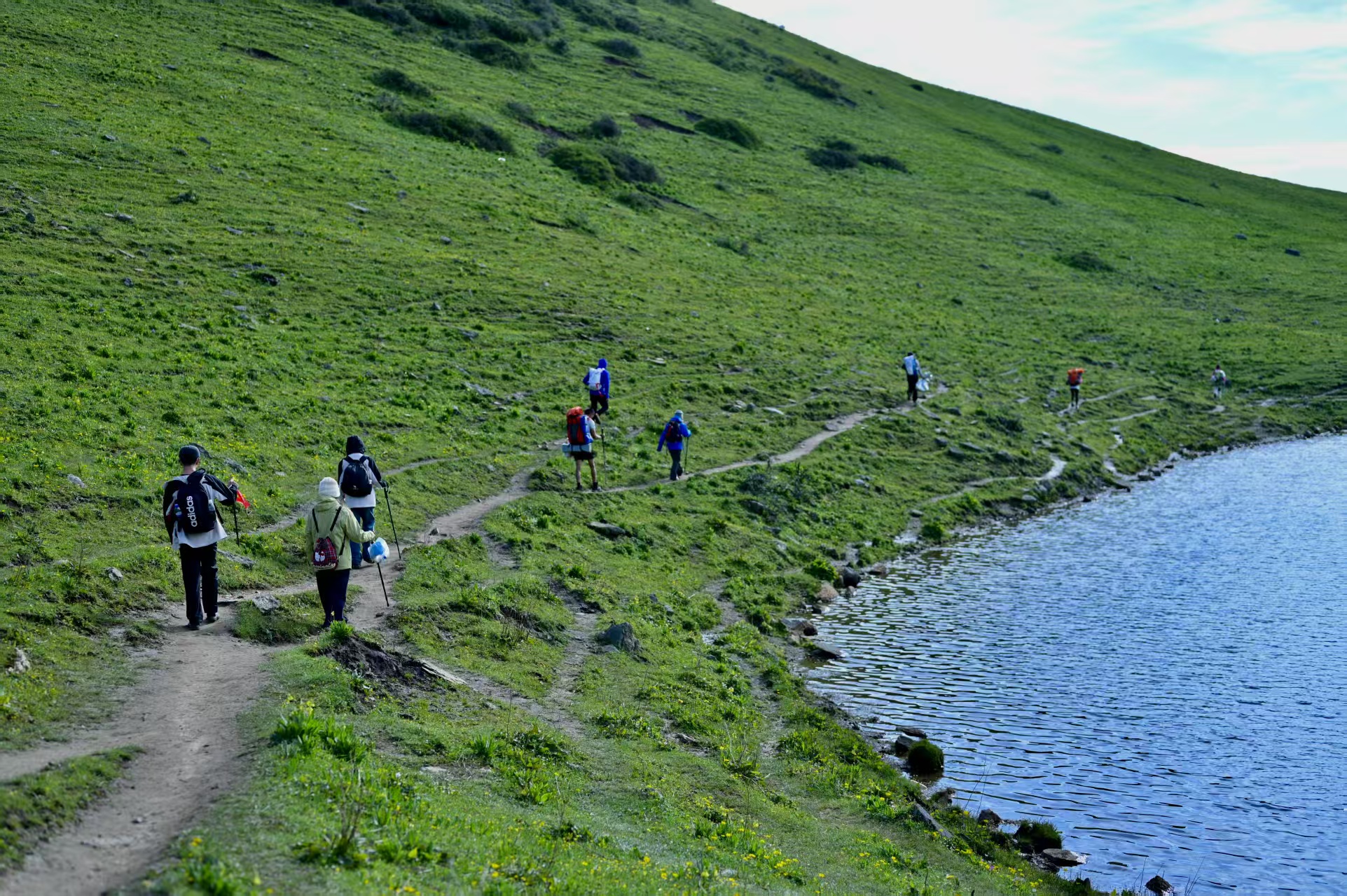 1750922462432186.jpg ea7481a14b2cbde2691791aeee67f66.jpg