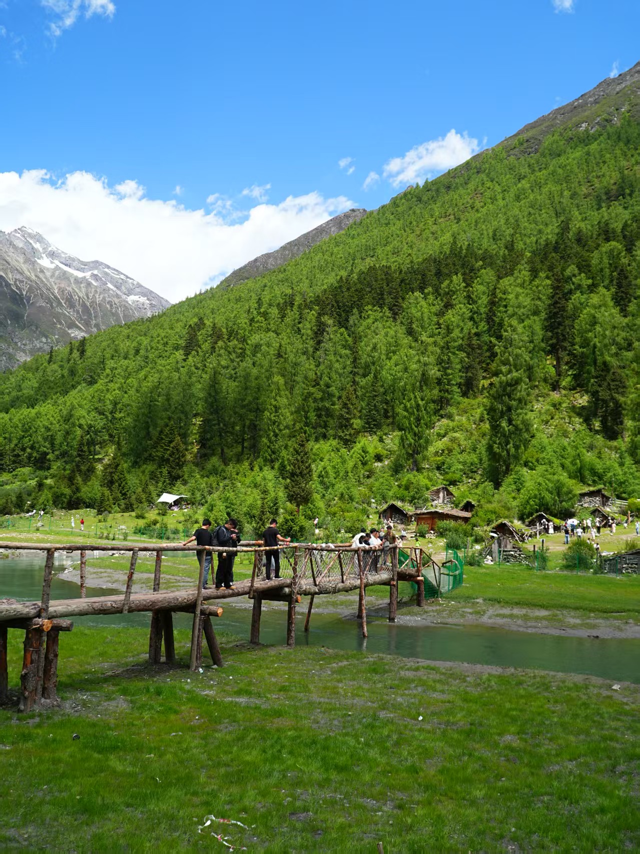 1751252896217677.jpg cd82eecabbcc40127d869d16af6a0fe.jpg