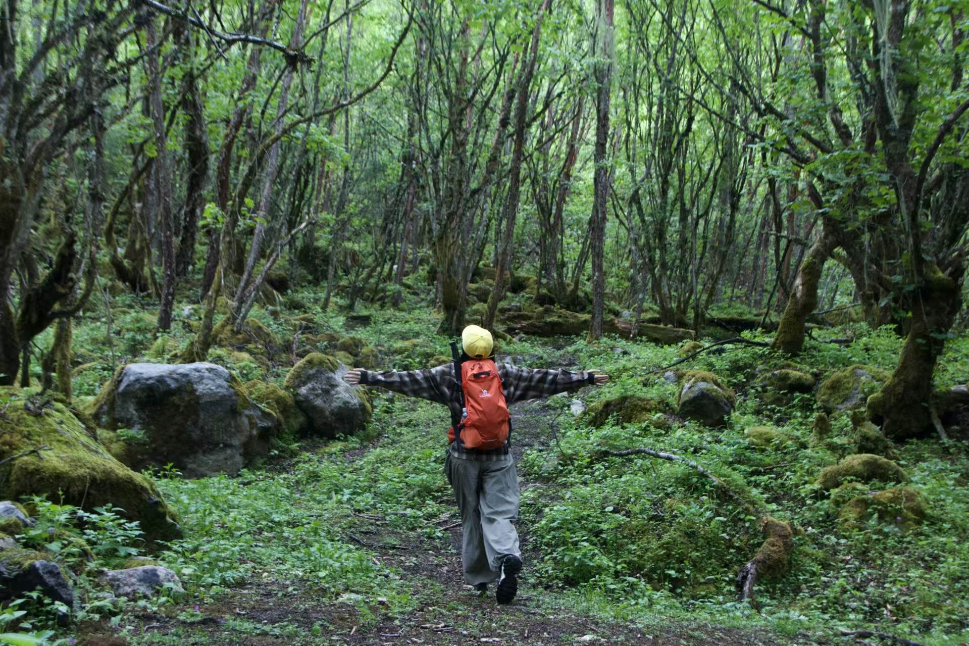 1751253015698044.jpg 1750039065875372.jpg