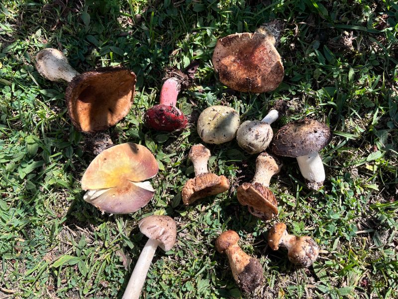 1751437382920282.jpeg 040413a8901ea83516f0a366fc886914.jpeg