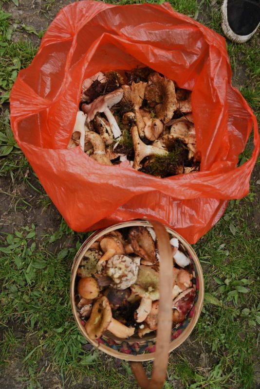 1751437384757518.jpg b65265181719b4fa1fbce969a6762d77.jpg