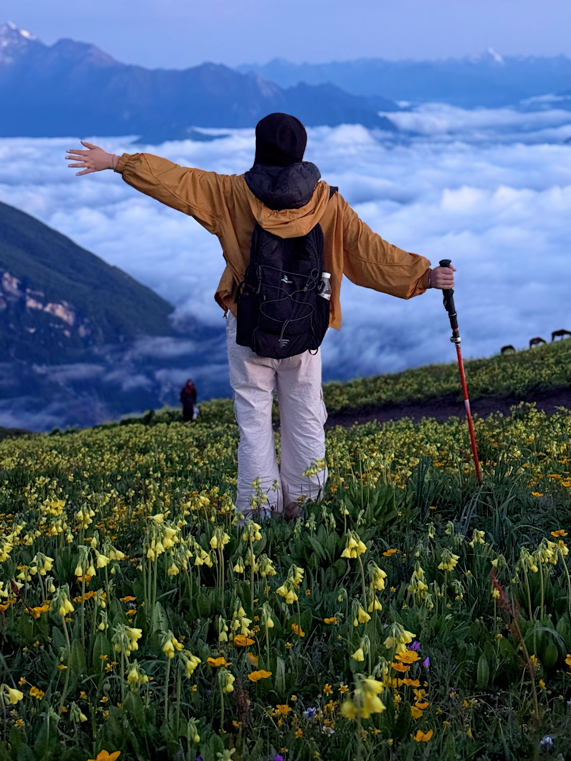 1752133403854971.jpg 微信图片_20250710151827.jpg