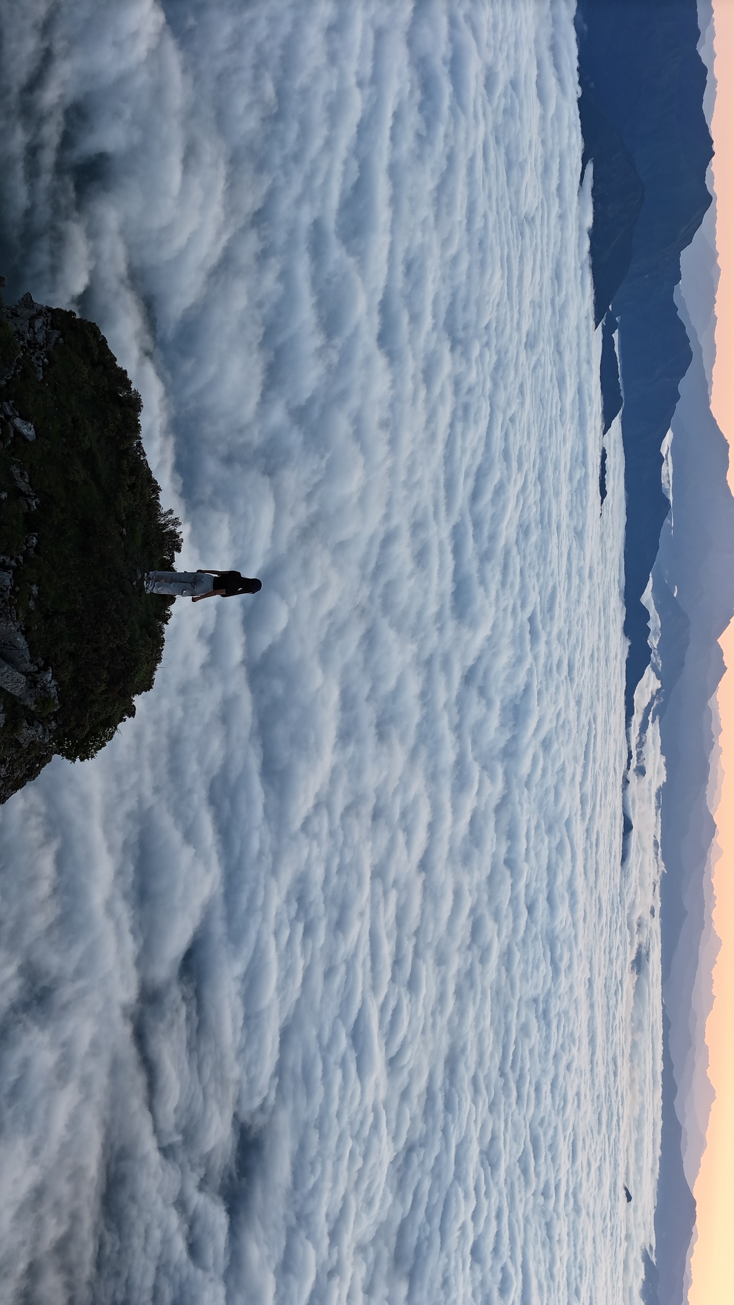 1752133535580115.jpg 微信图片_20250710151846.jpg