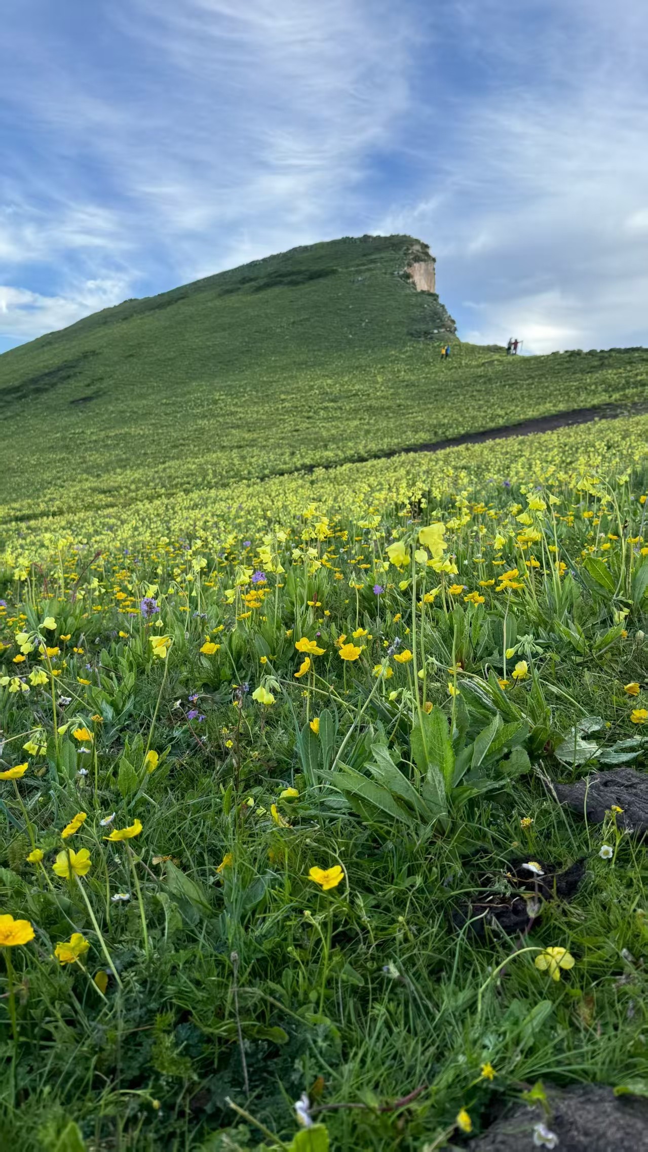 1752205243487486.jpg 微信图片_20250711113831.jpg