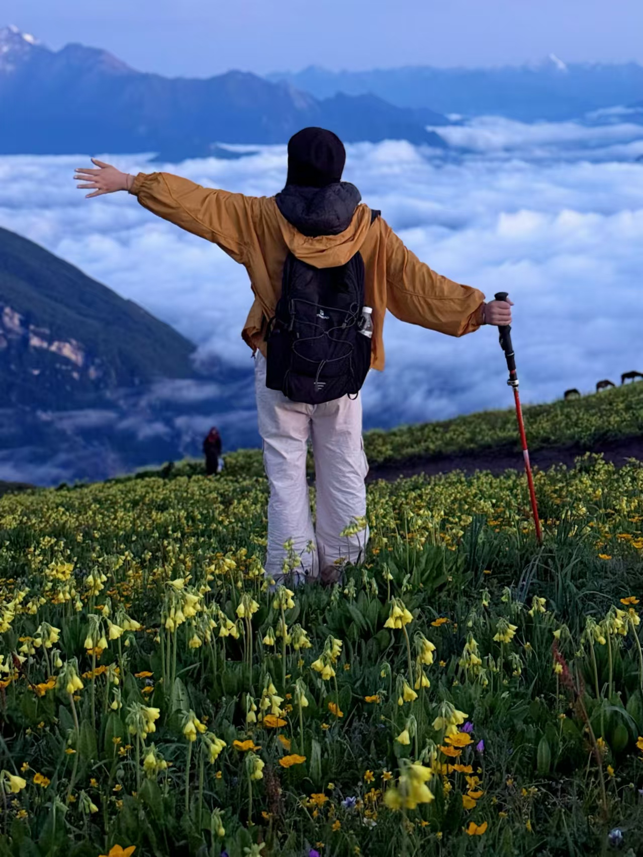 1752205245436043.jpg 微信图片_20250711113834.jpg