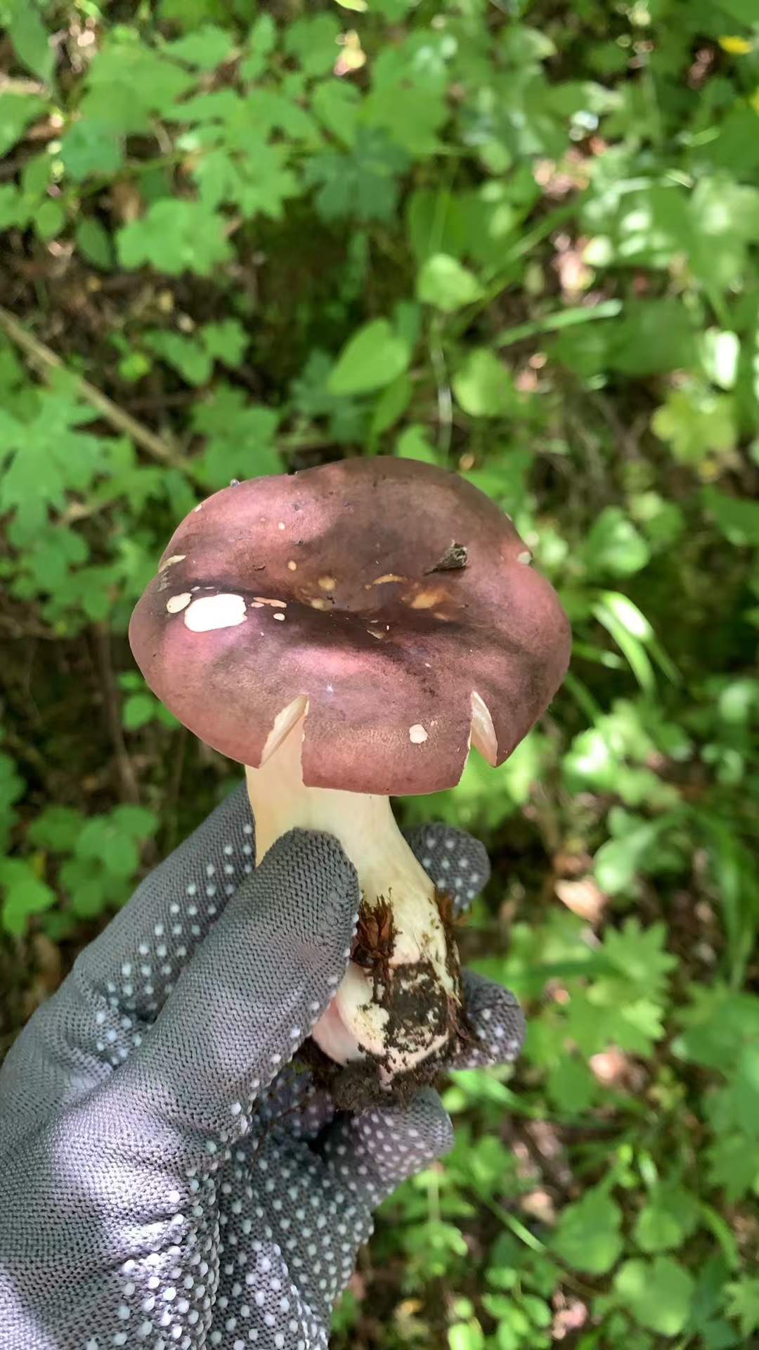 1752205944750637.jpg 微信图片_20250711114959.jpg