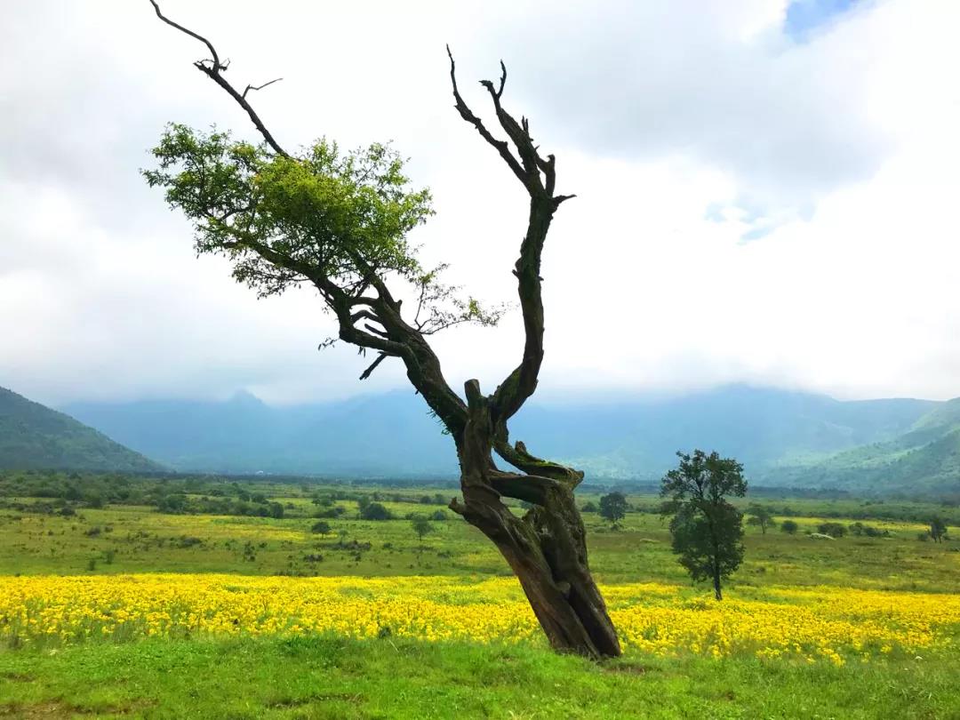 1752232133655431.jpg 163b6cf10a92e4714a598fec7c0f662d.jpg