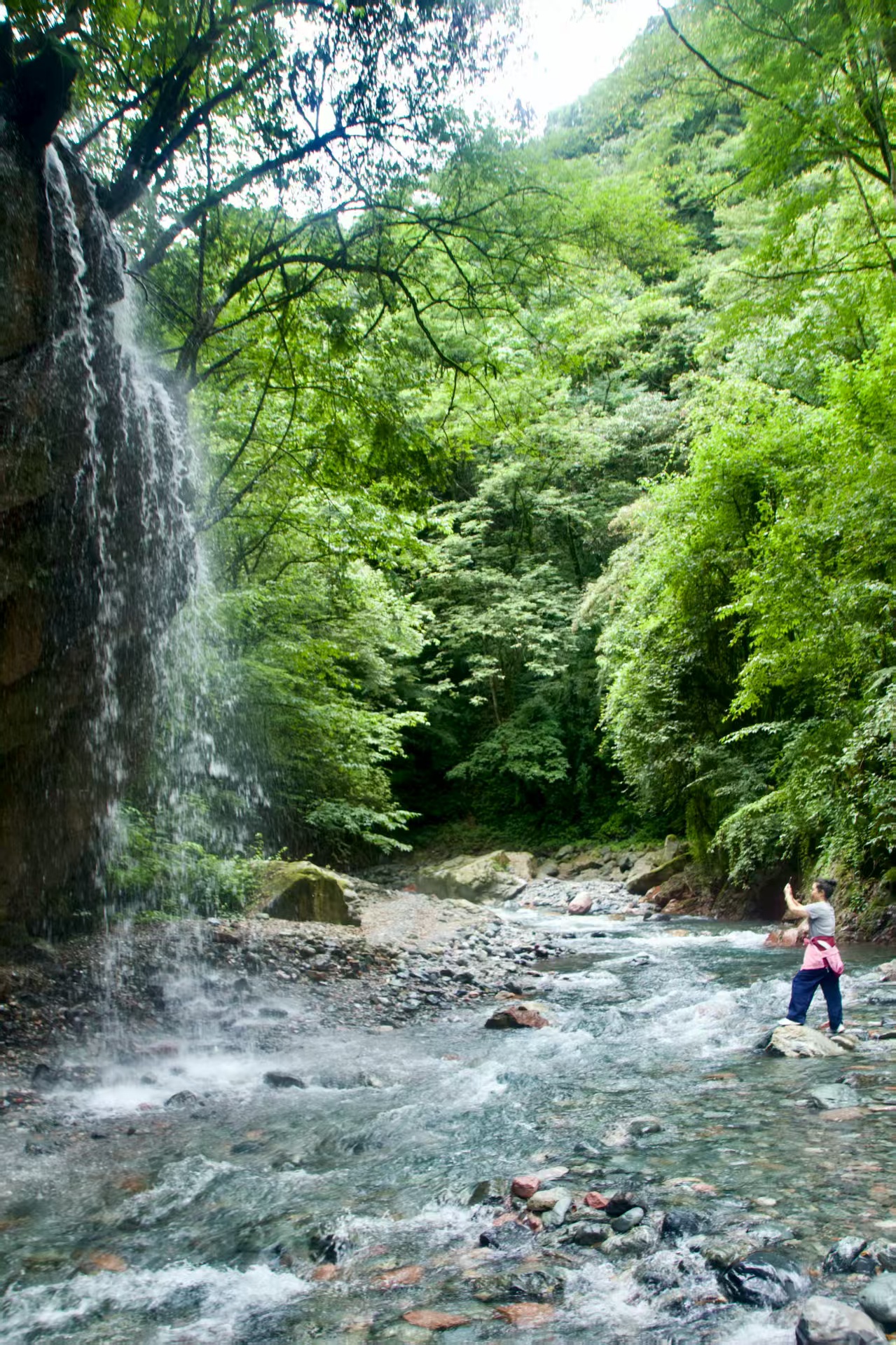 1753066220776970.jpg 81ccb5c2c012557948310c605c6bb1d.jpg