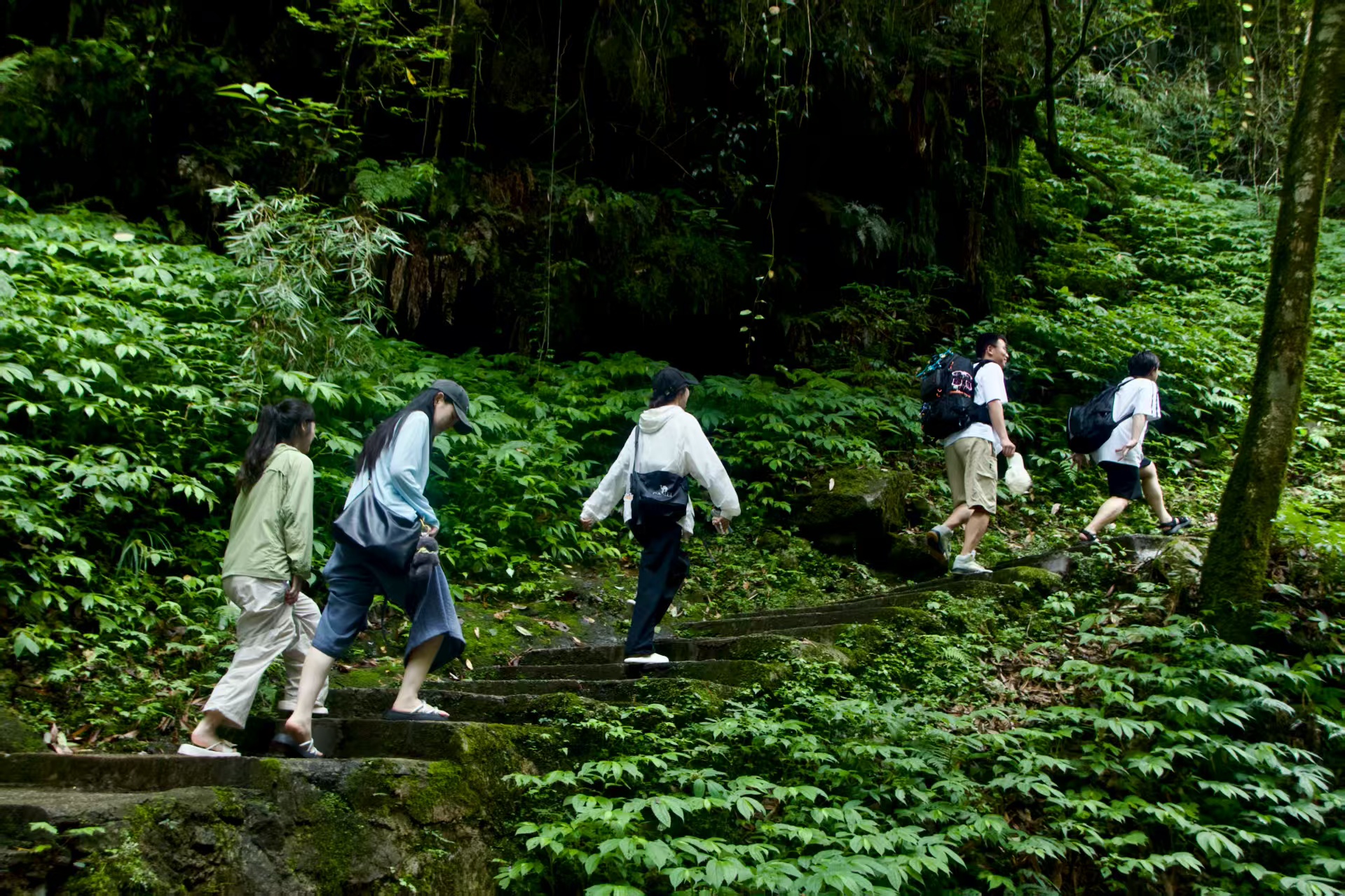 1753066268695262.jpg 4dc7ba72e9161fa9e50229cf080b7da.jpg