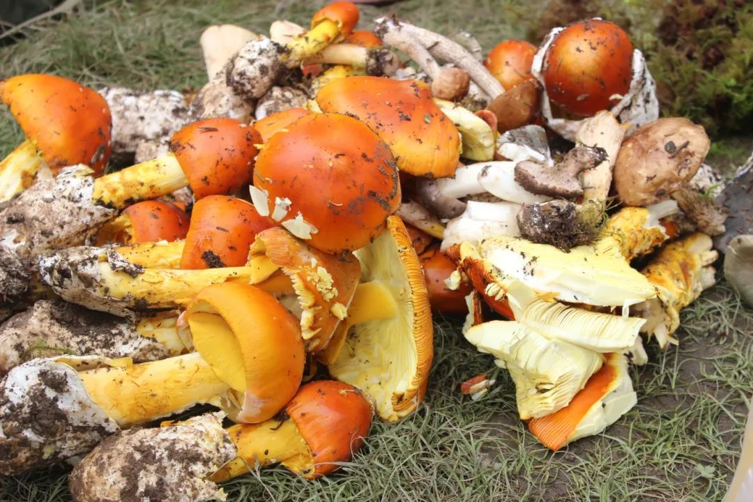 1753252347599166.jpg bd16456cc0a3e214a04d807eb6867f9.jpg