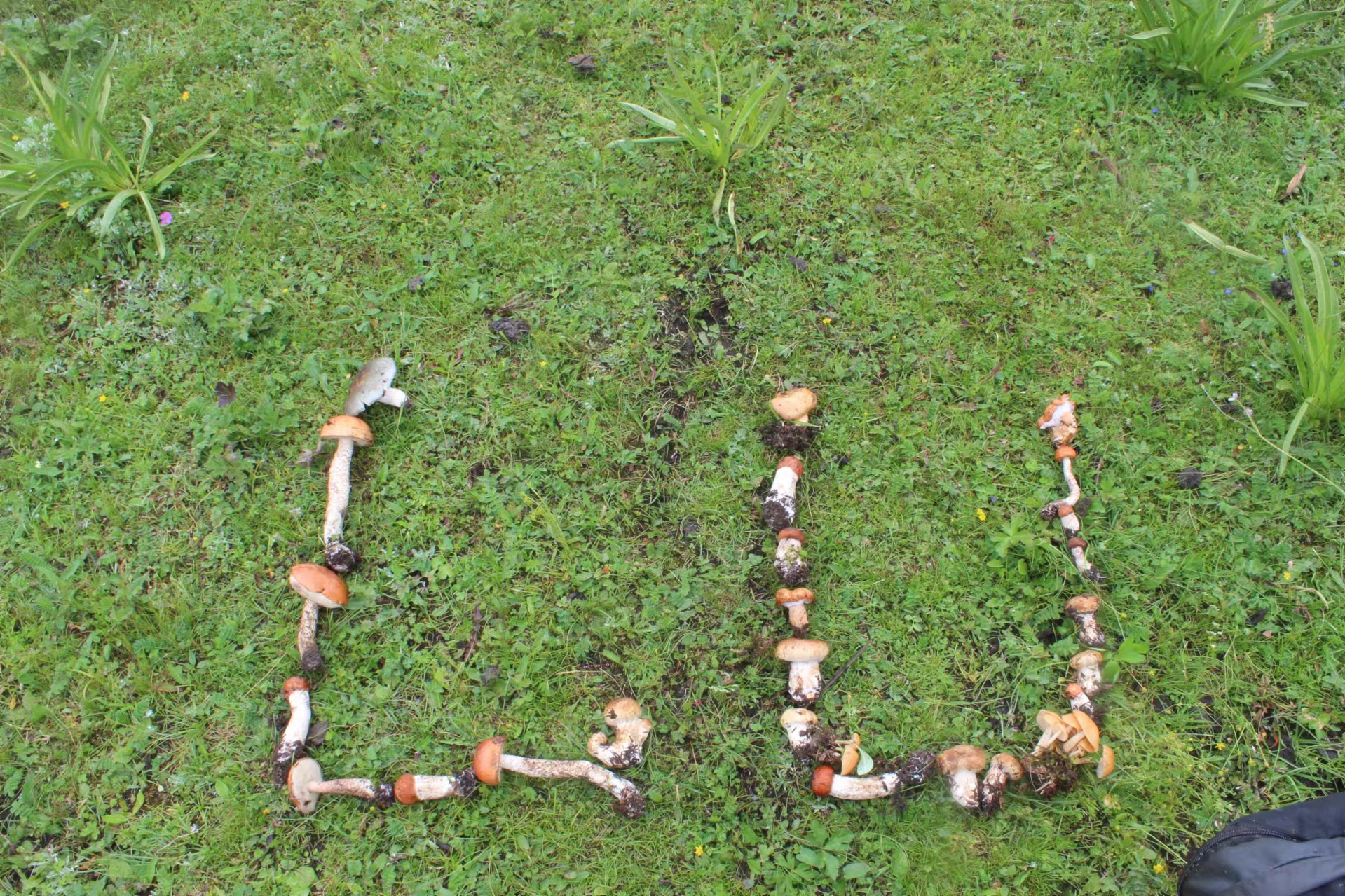 1753252424356005.jpg 1721007697245565.jpg