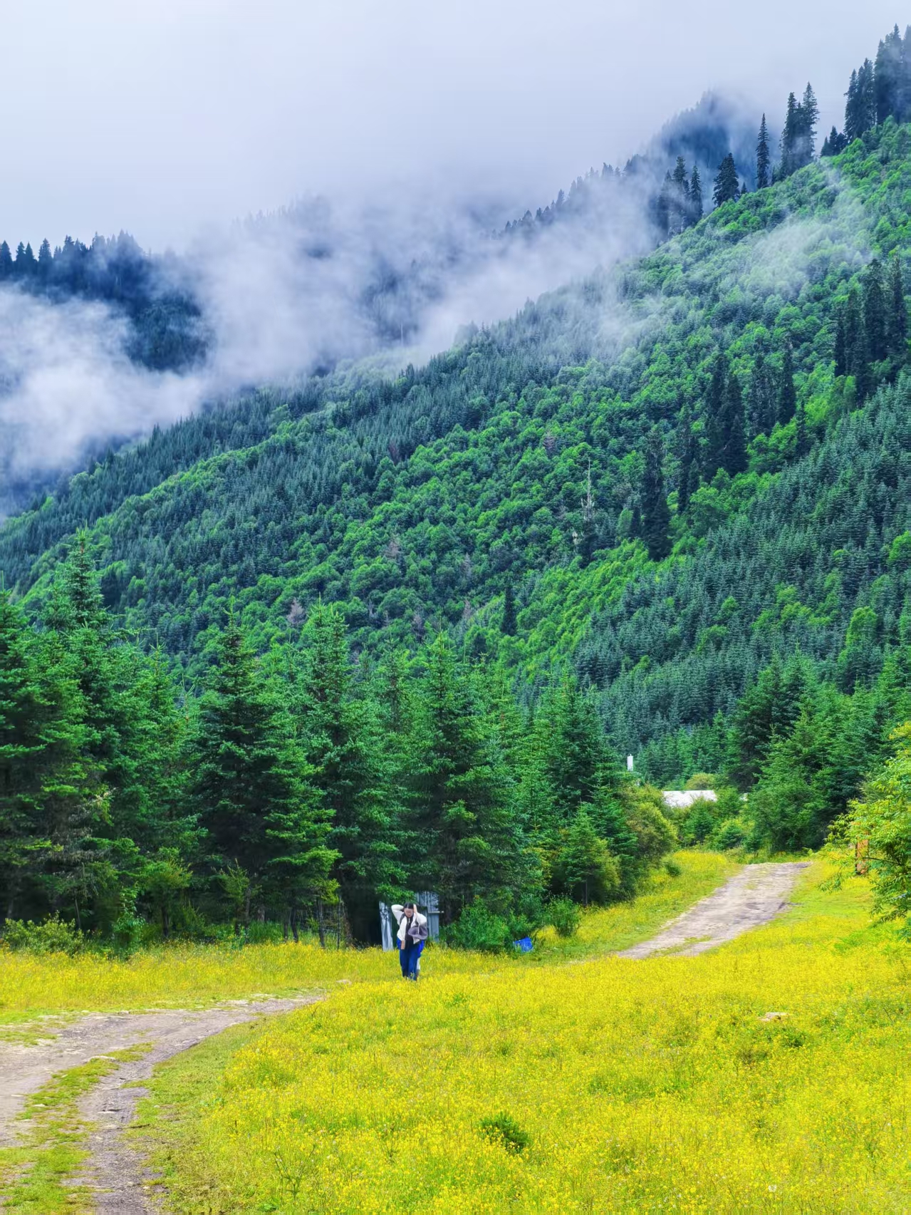 1753674910736779.jpg 72a19a67835b6de0813953299003585.jpg