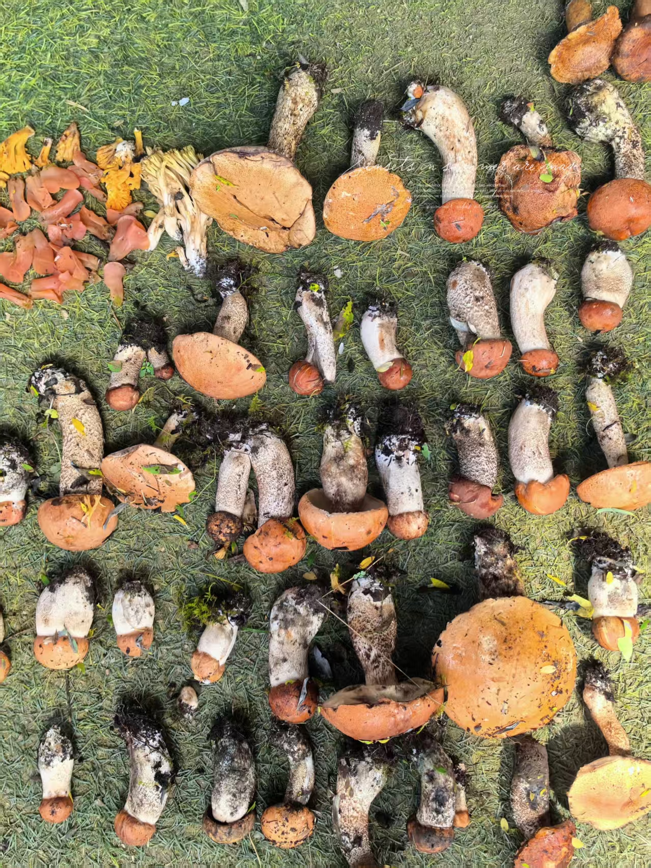 1753674936127854.jpg 5deefe7cda56d3df77488ed37c613e3.jpg