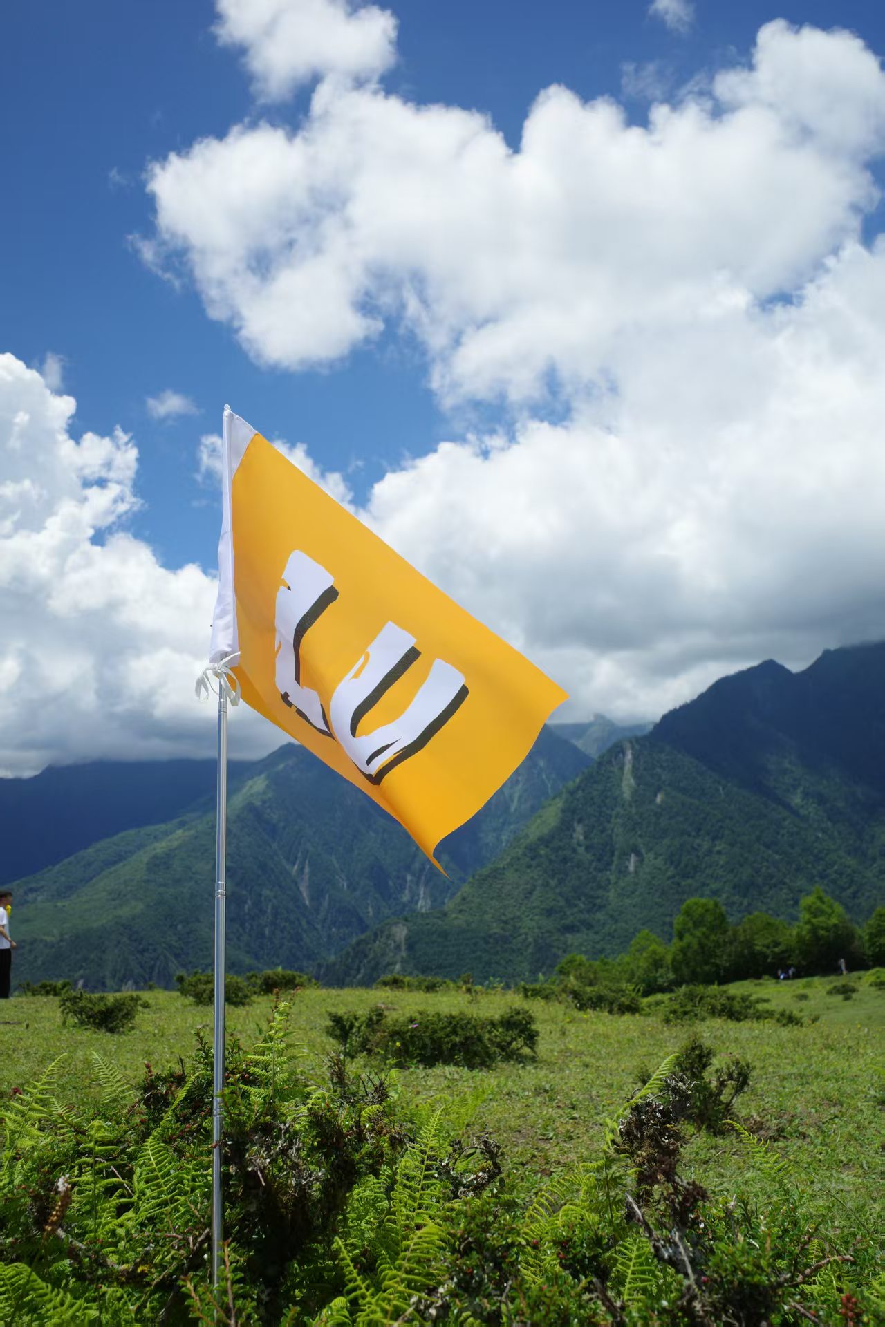 1753755411505696.jpg b35c043a6ba836ff4805ce12e287033.jpg