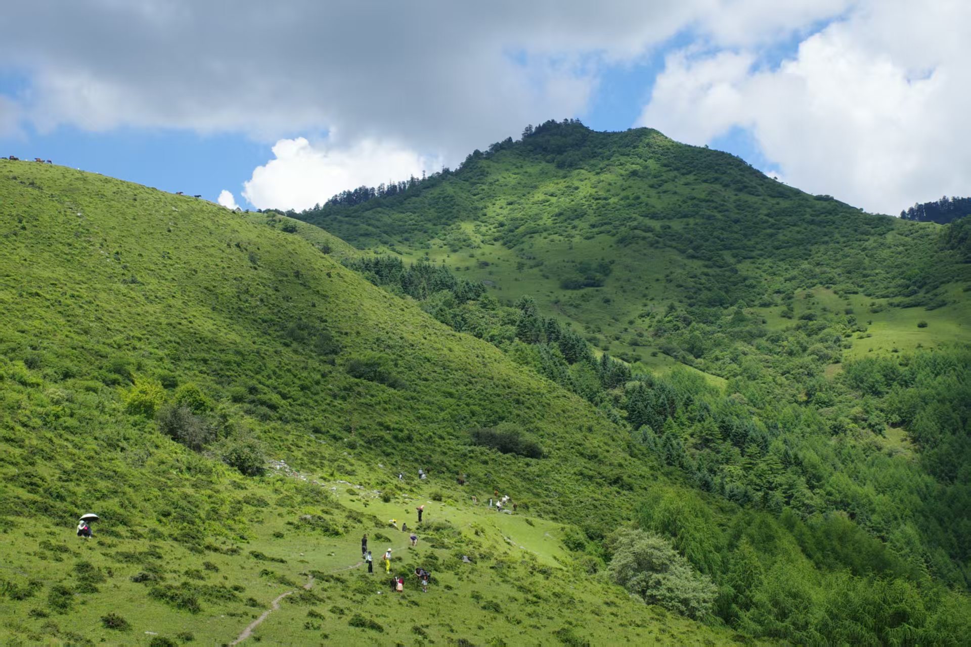 1753755420750485.jpg ef679812fc9bef6eb9a95df79670e55.jpg