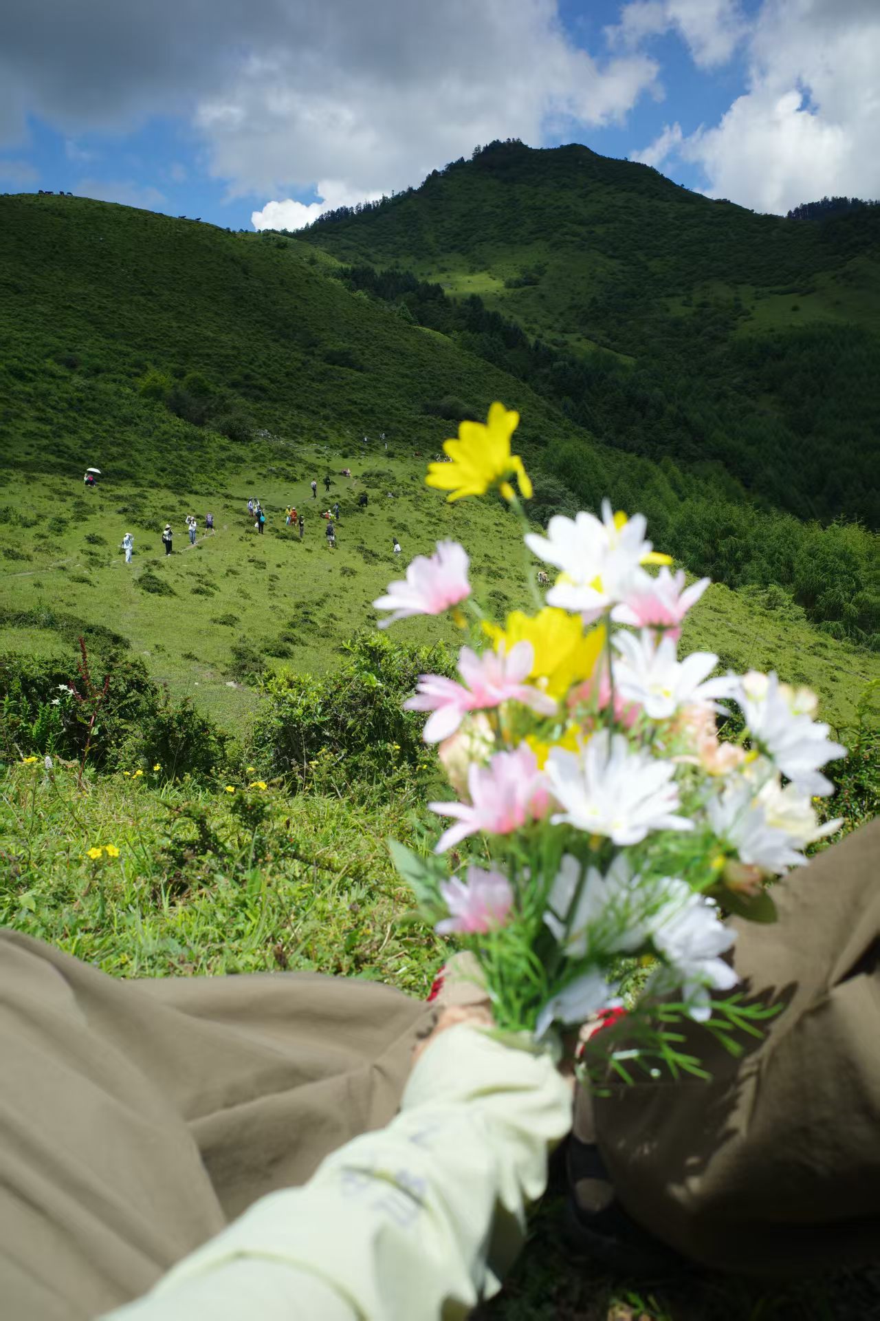 1753755478808632.jpg 642621db36db6b48d04147435ab77c9.jpg