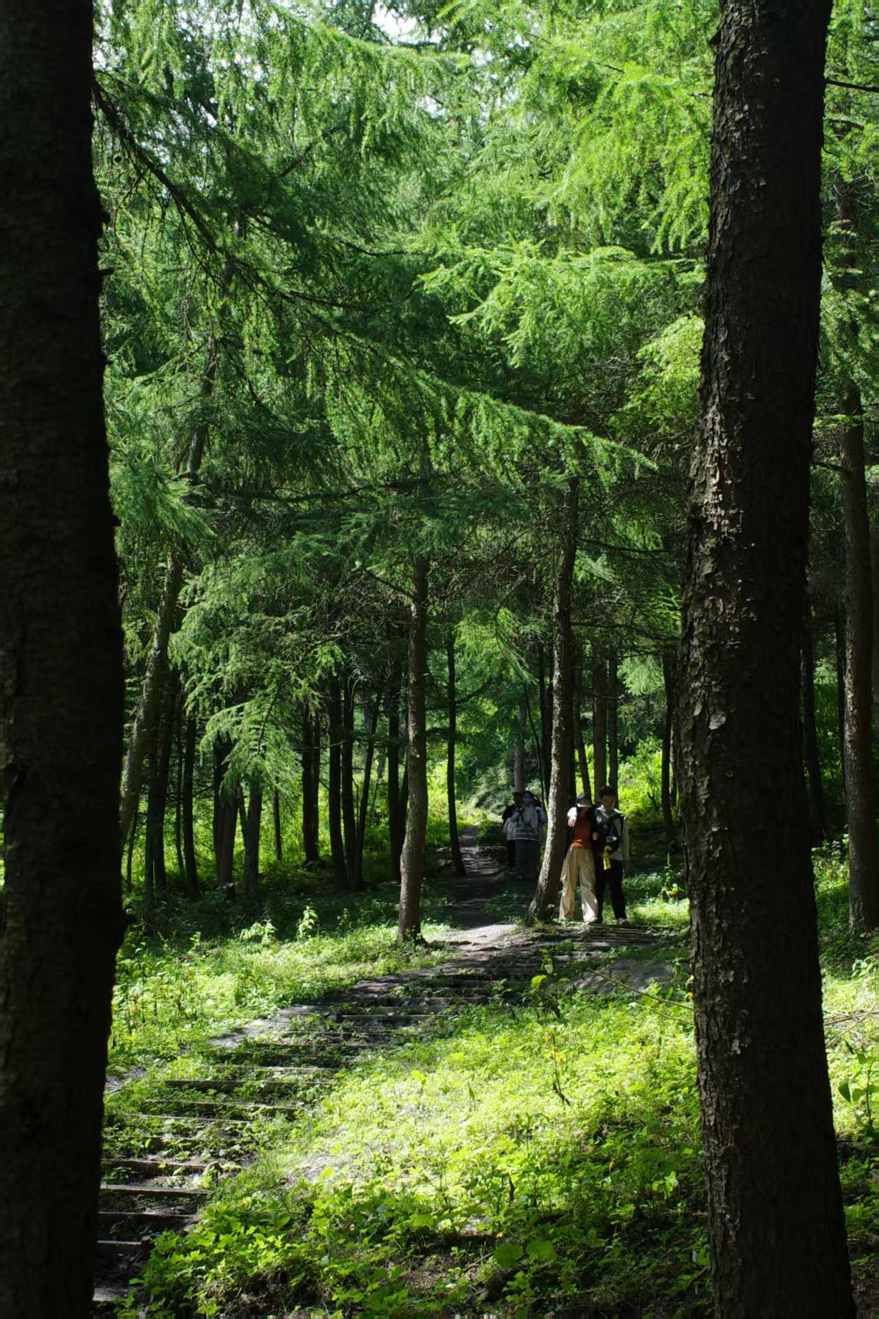 1753755515120459.jpg 3523e8ba24e3ac0dc5e15bd43967fe5.jpg