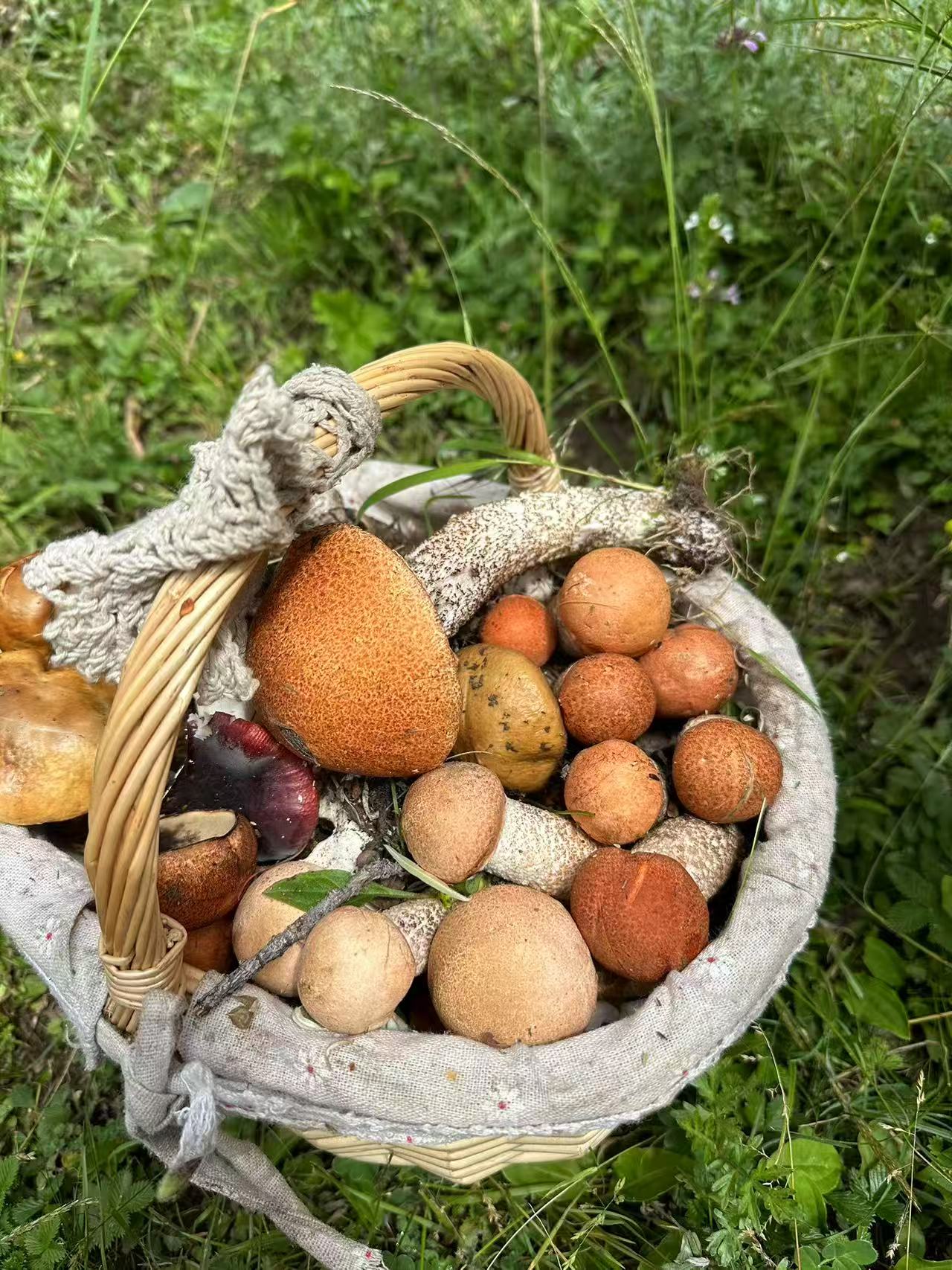 1754270146579432.jpg 微信图片_20250804091346.jpg