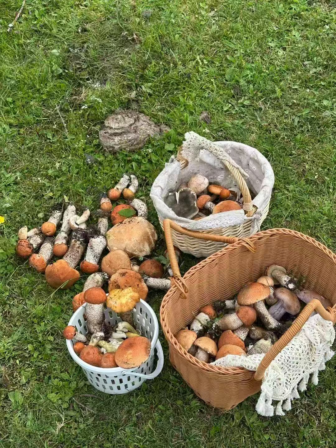 1754270148652700.jpg 微信图片_20250804091347.jpg