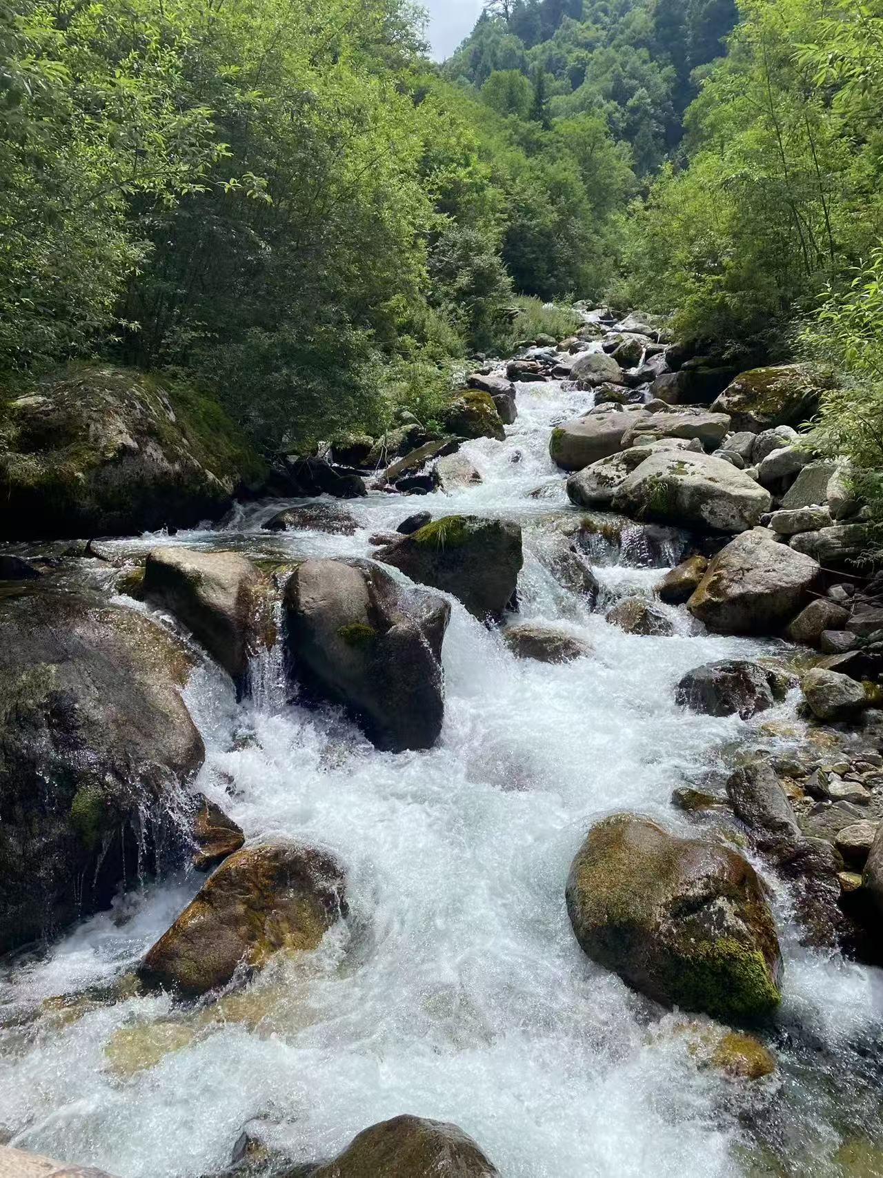 1754271510427169.jpg 微信图片_20250804093107.jpg