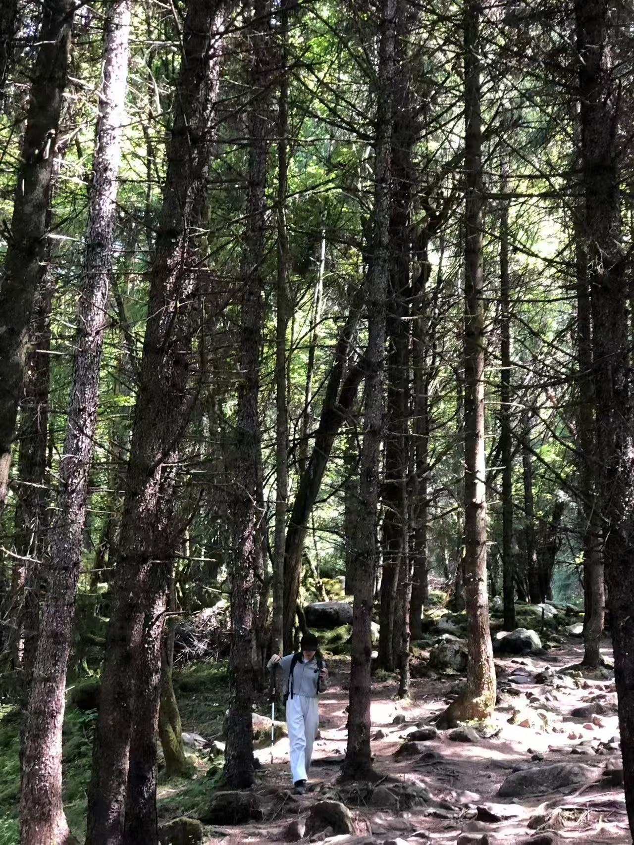 1754271512607694.jpg 微信图片_20250804093104.jpg