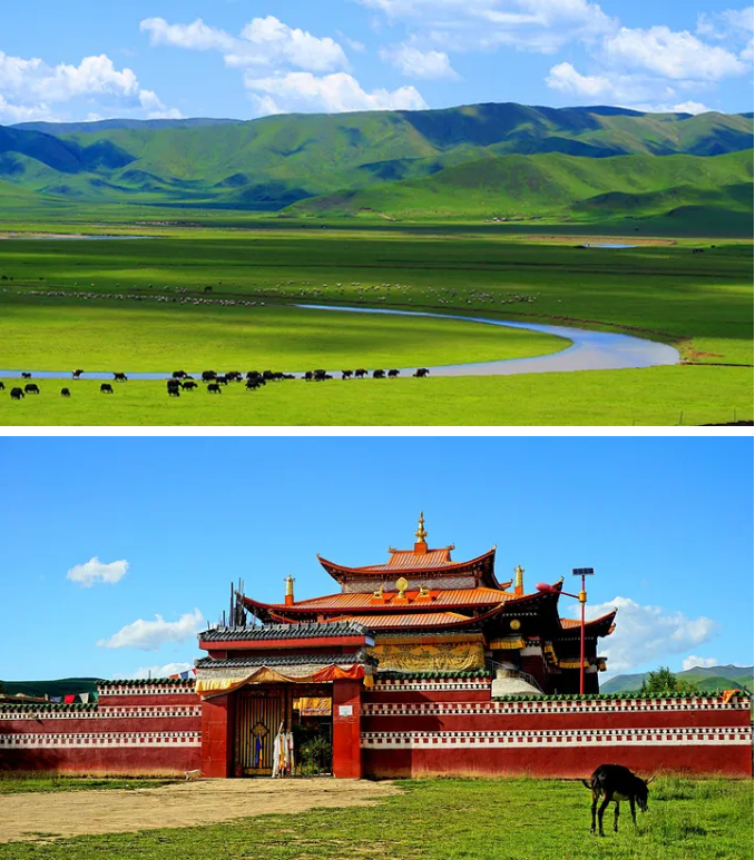 1754379625717313.png 341aeb35839baa3cc94d56948e31f33.png