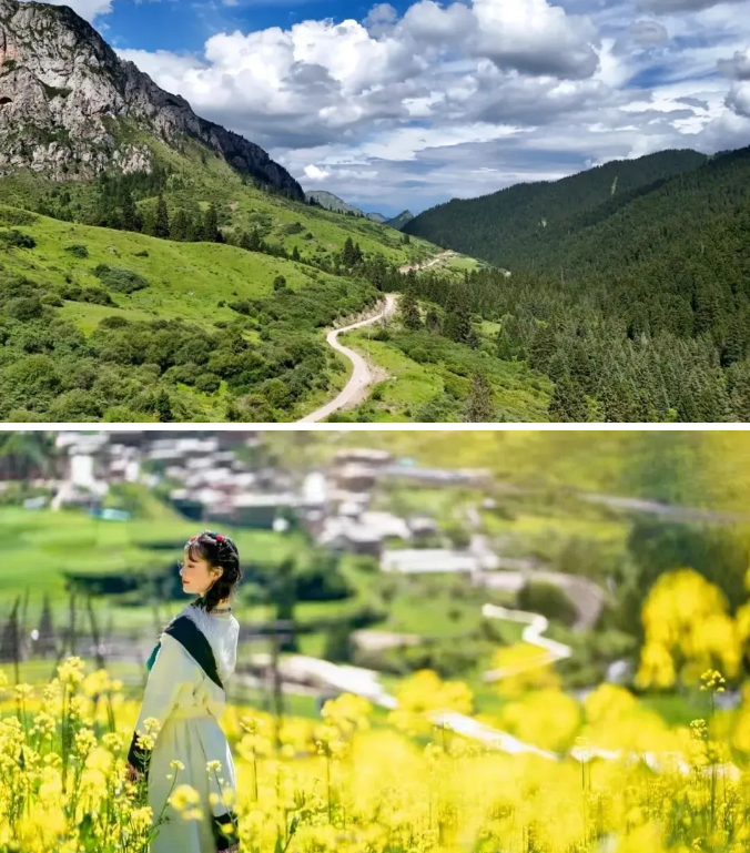 1754379671363821.png faf296bc449b4a6de731e2f46ae26e6.png