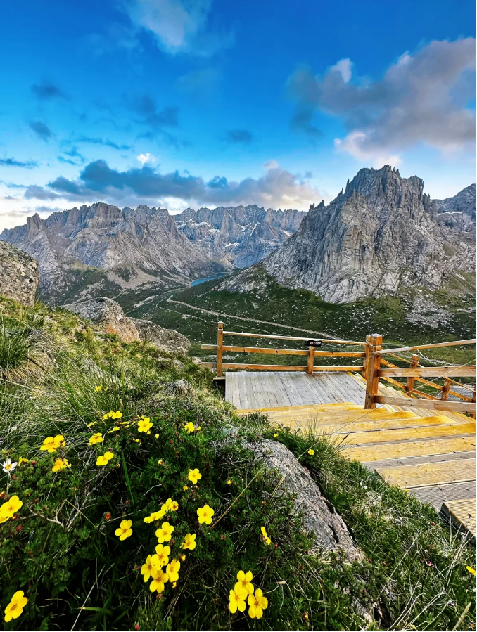 1754380615430864.png 86729f57d163d5d9405c5a238e6cedc.png