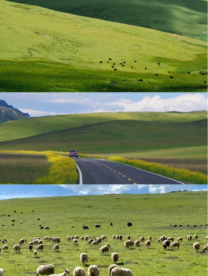 1754380627909164.png 7d3452233a57862fca11431a3ee027b.png